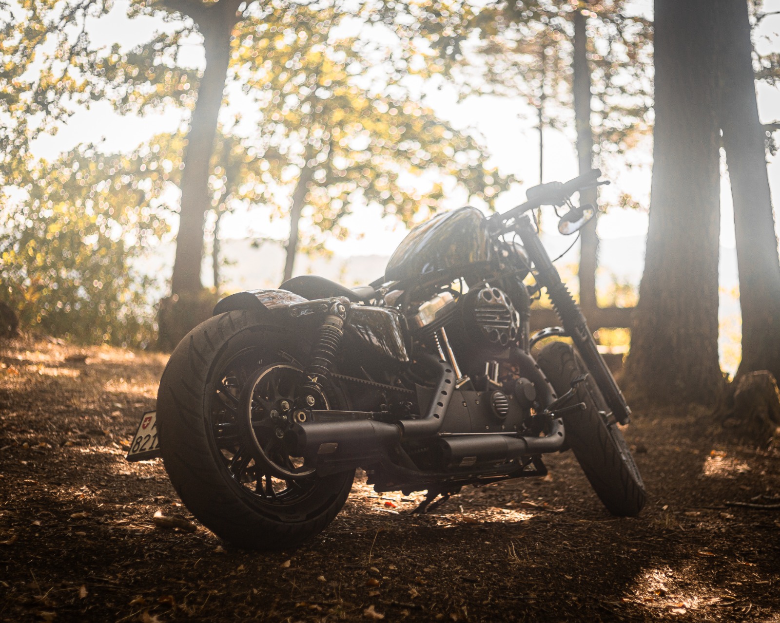 HARLEY-DAVIDSON XL 1200 X Forty Eight ABS-image-14
