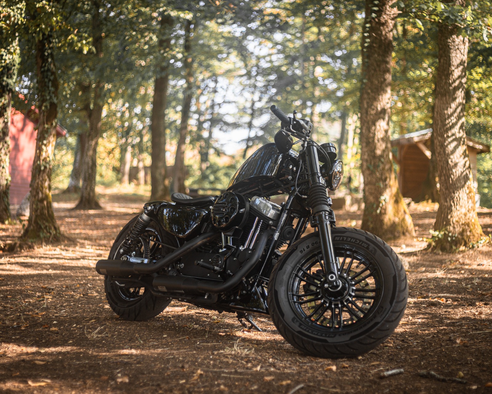 HARLEY-DAVIDSON XL 1200 X Forty Eight ABS-image-8