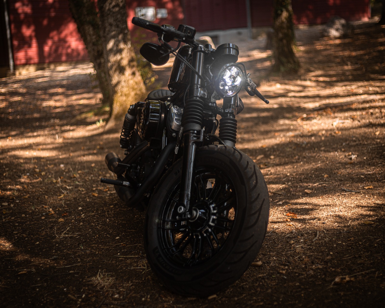 HARLEY-DAVIDSON XL 1200 X Forty Eight ABS-image-2