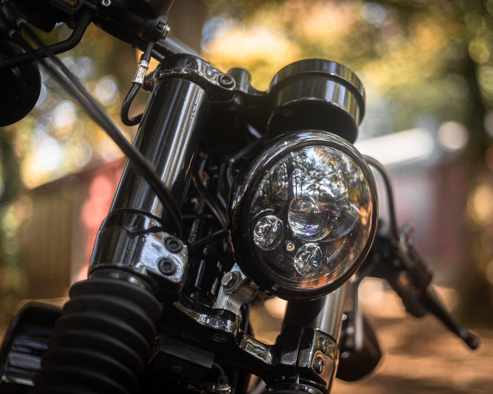 HARLEY-DAVIDSON XL 1200 X Forty Eight ABS-image-9