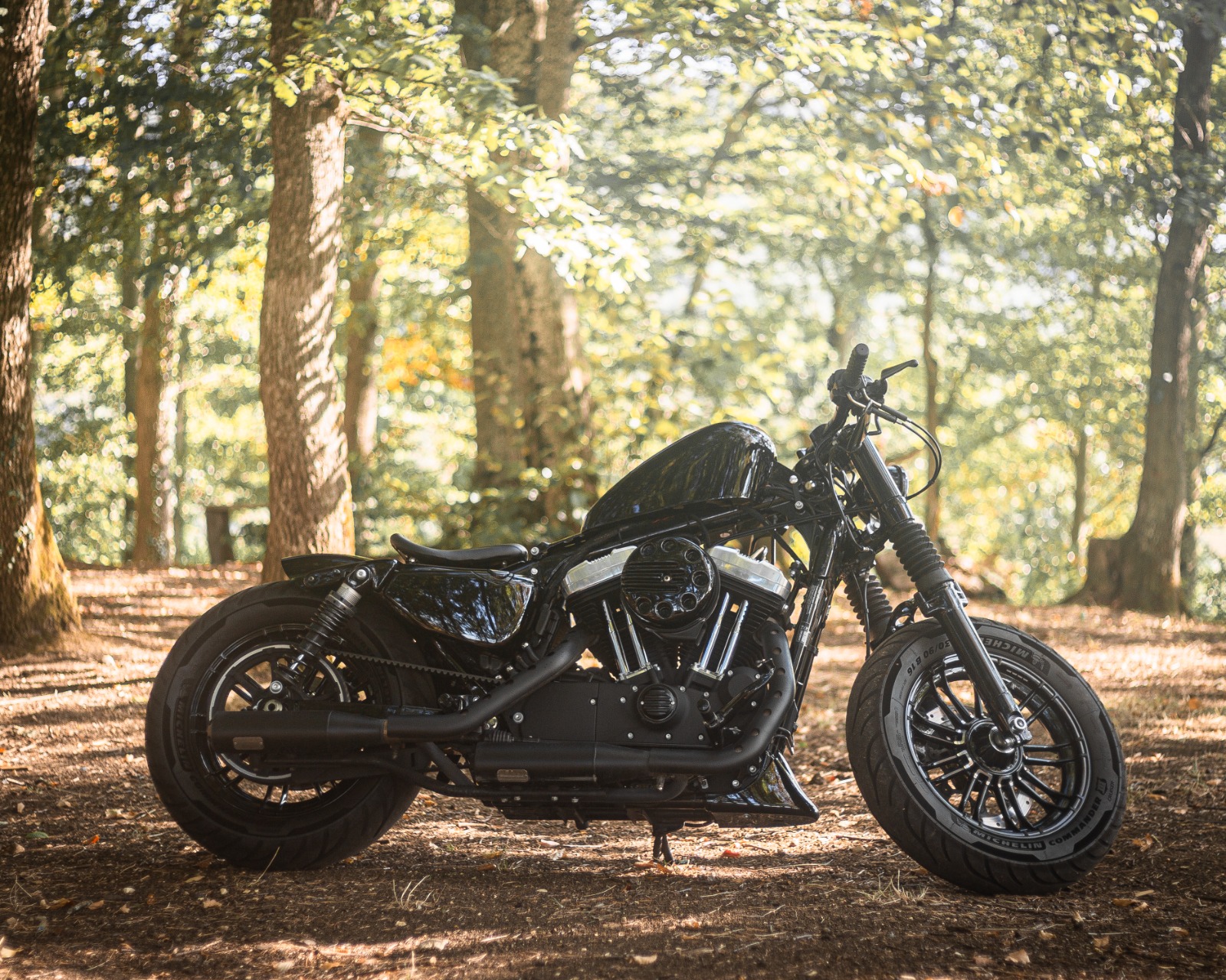 HARLEY-DAVIDSON XL 1200 X Forty Eight ABS-image-0