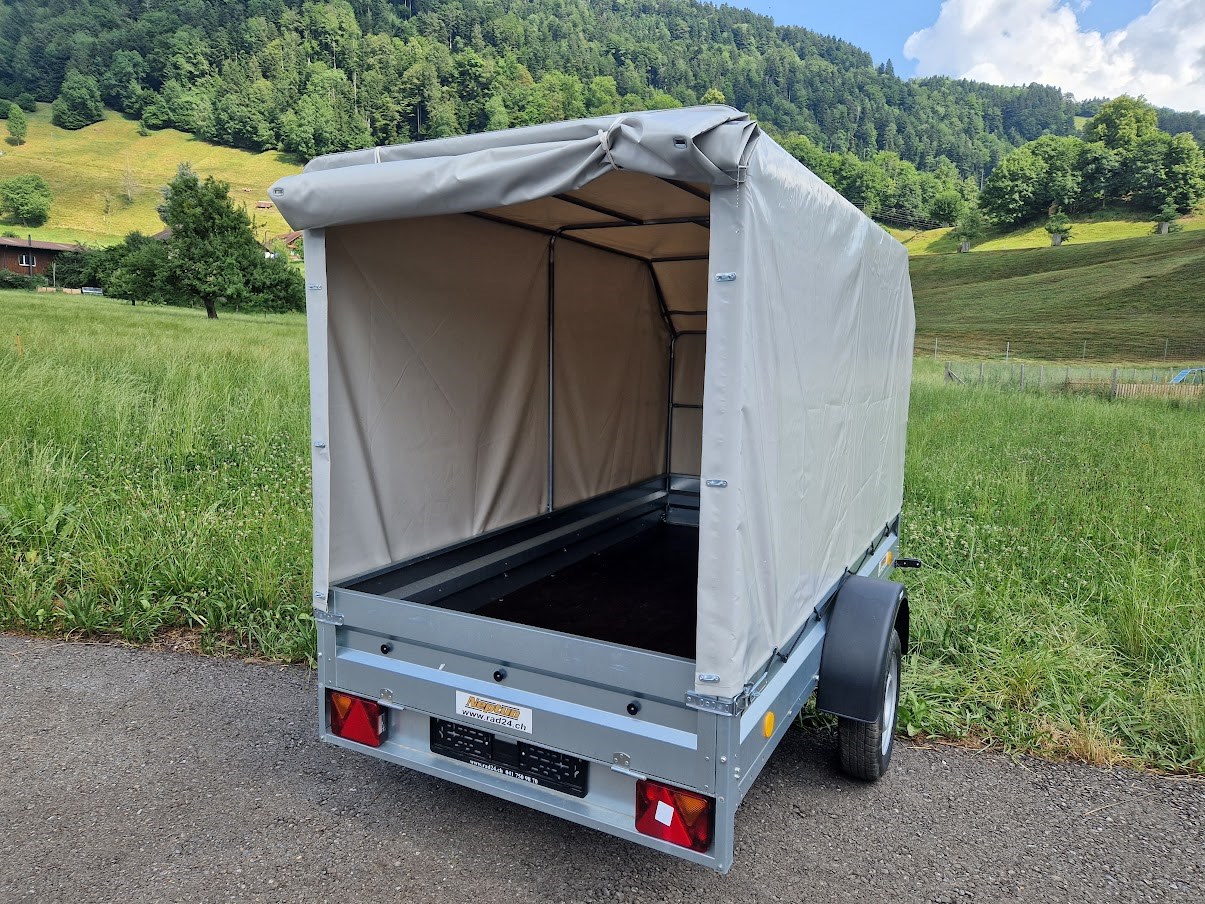 NEPTUN GN104 750kg L2630xB1250-image-4