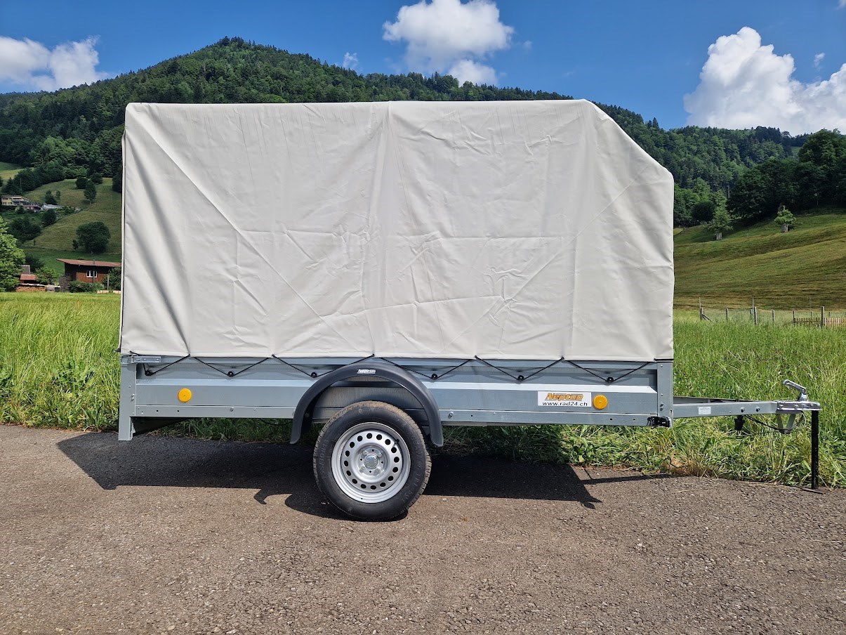 NEPTUN GN104 750kg L2630xB1250-image-2