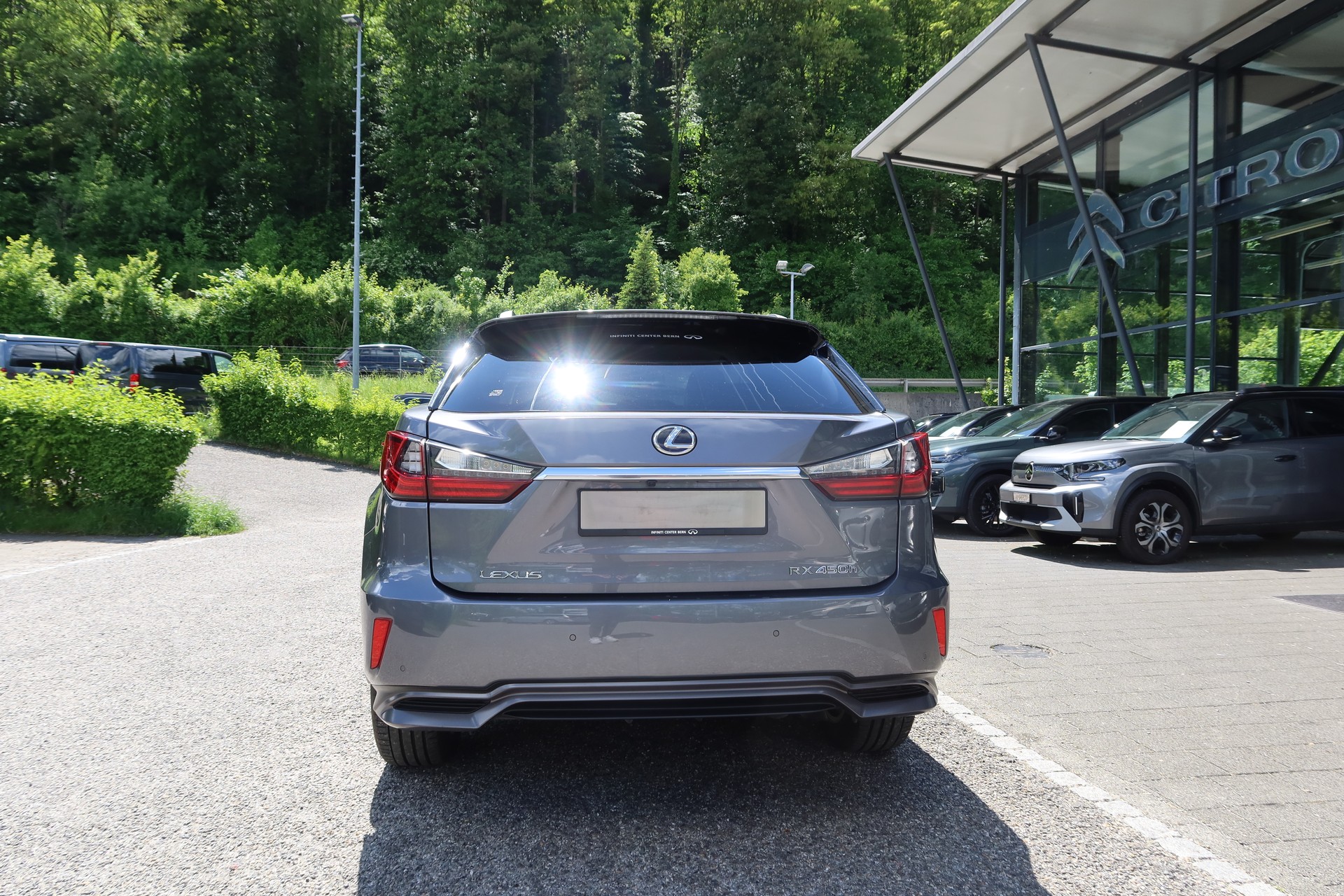 LEXUS RX 450h comfort AWD-image-6