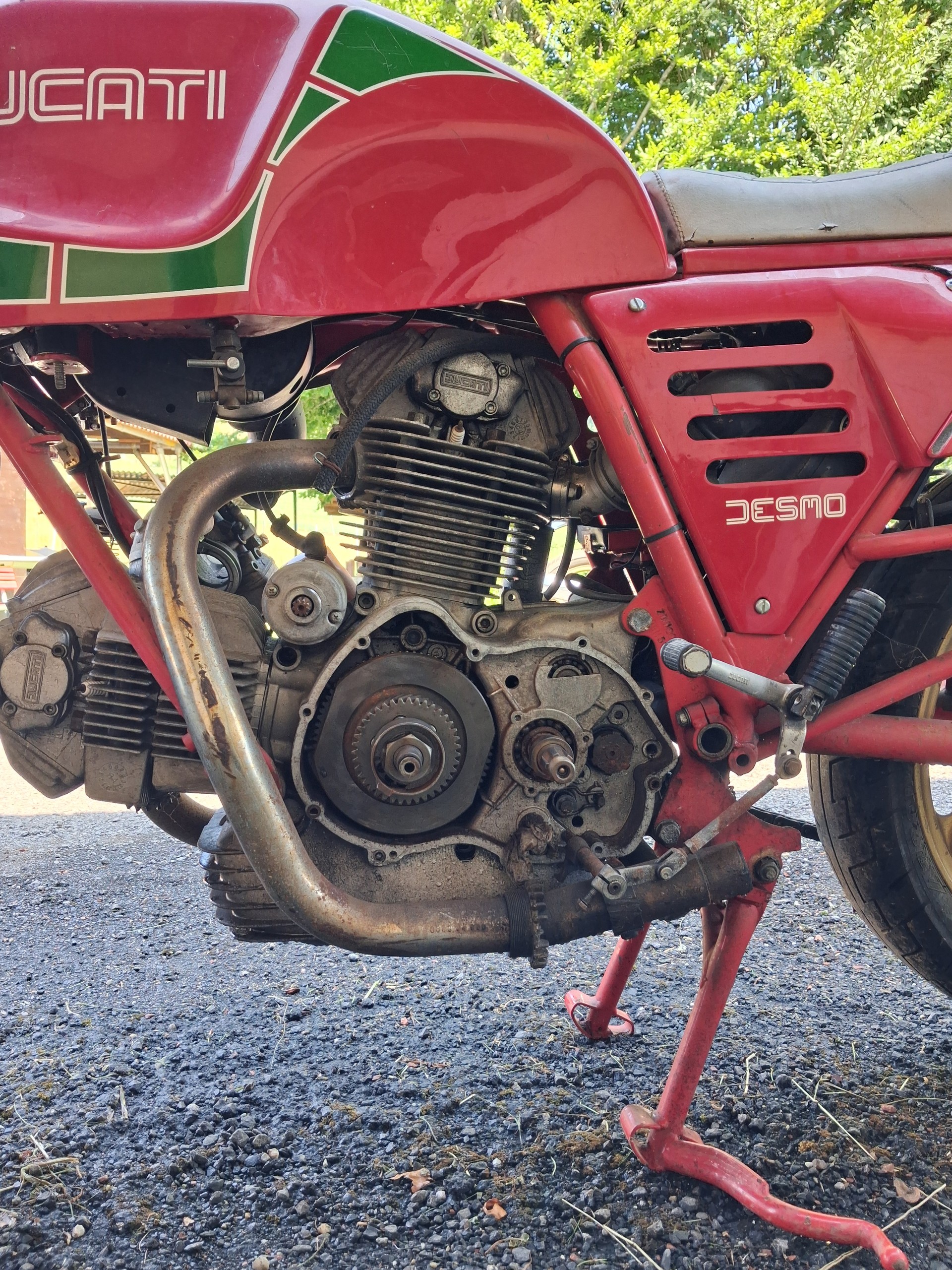 DUCATI Darmah-image-2