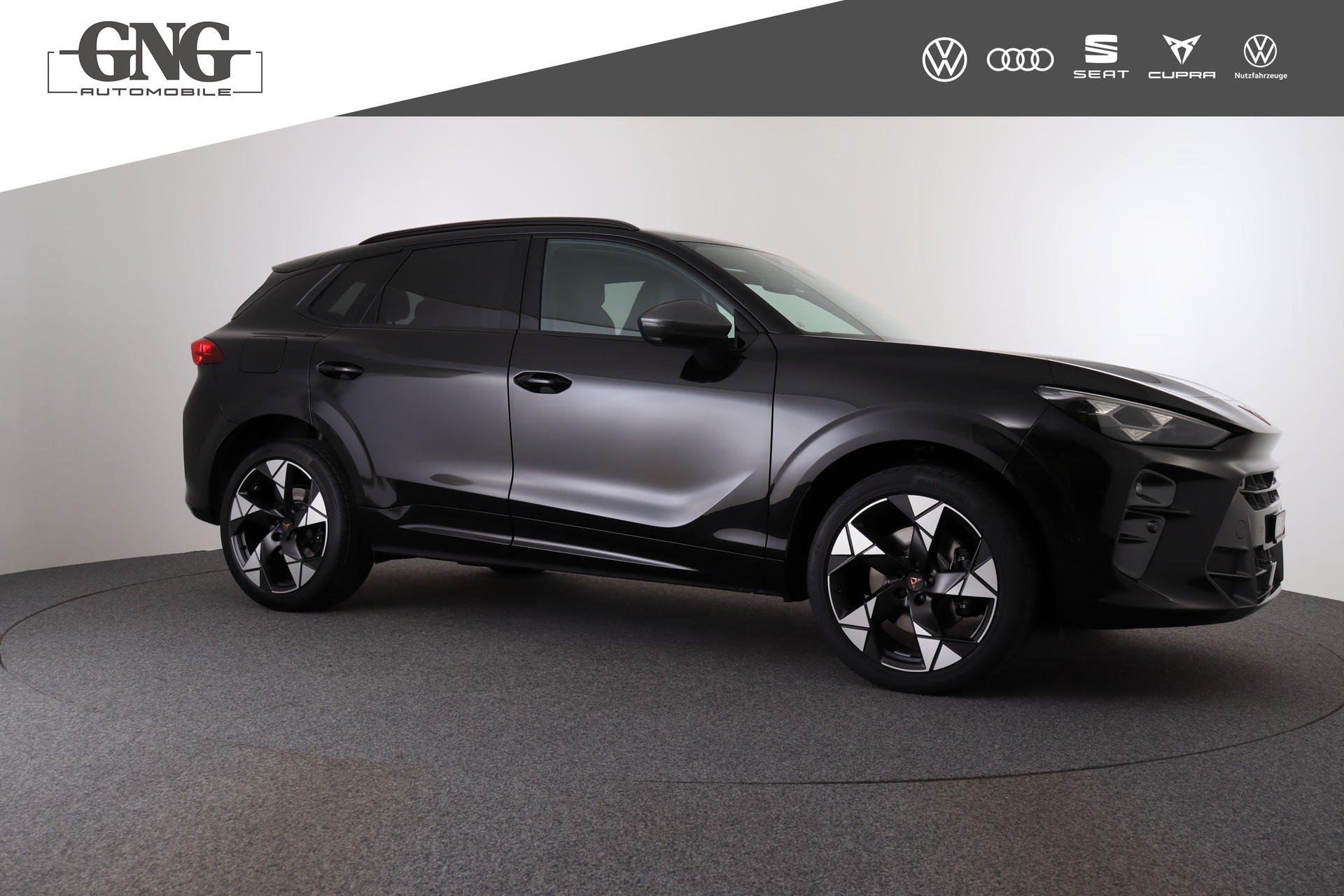 CUPRA Terramar 2.0 TSI DSG 4Drive VZ-showroom-element-3
