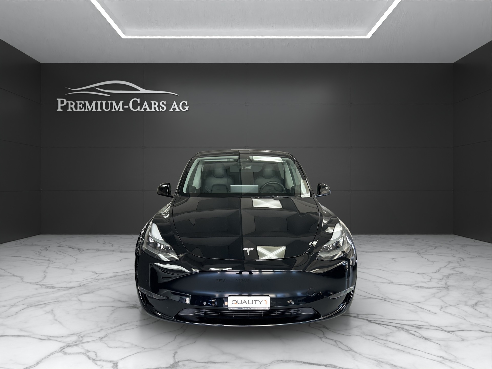 TESLA Model Y Performance / Enhanced Autopilot-image-3