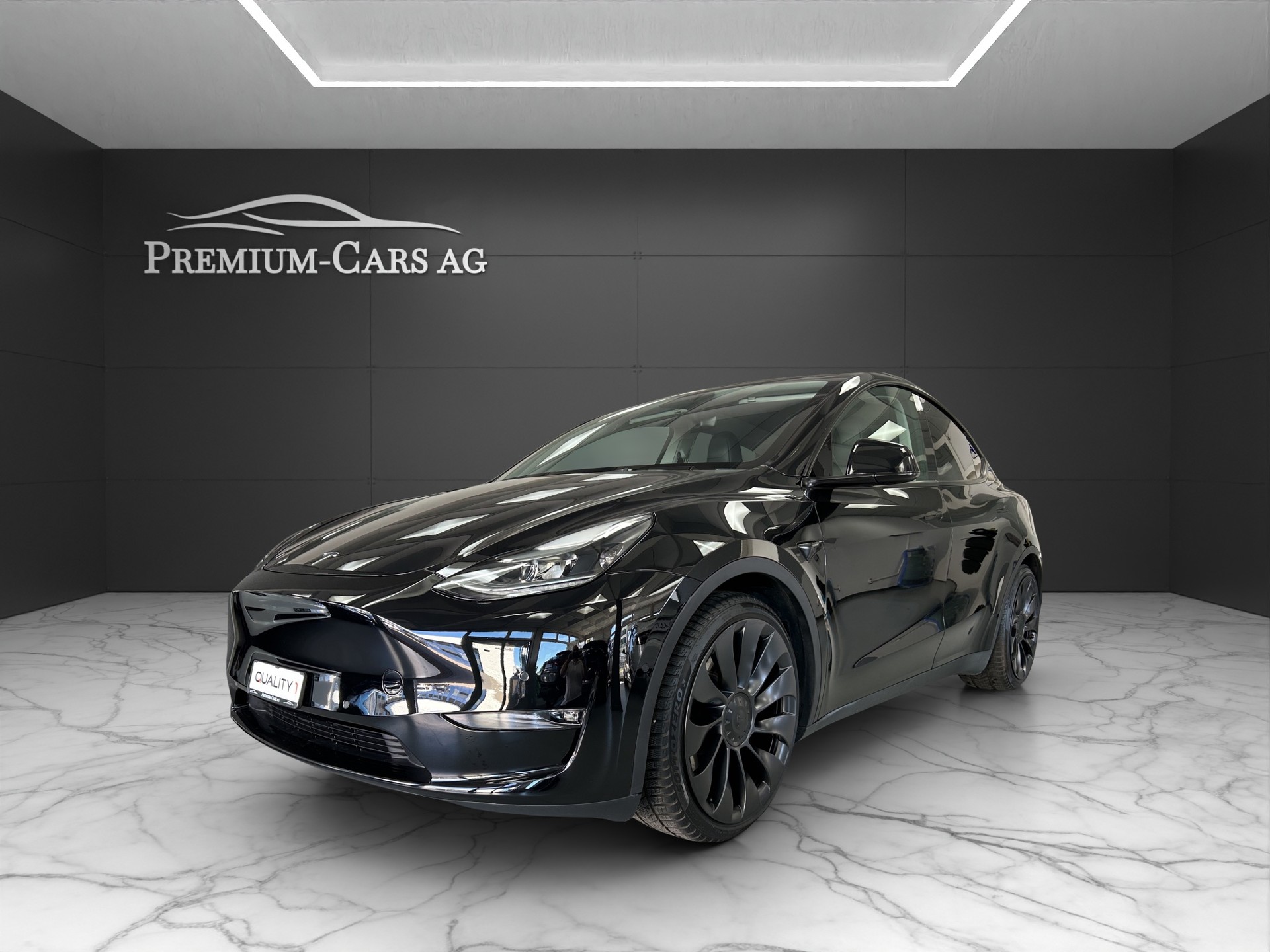 TESLA Model Y Performance / Enhanced Autopilot-image-1