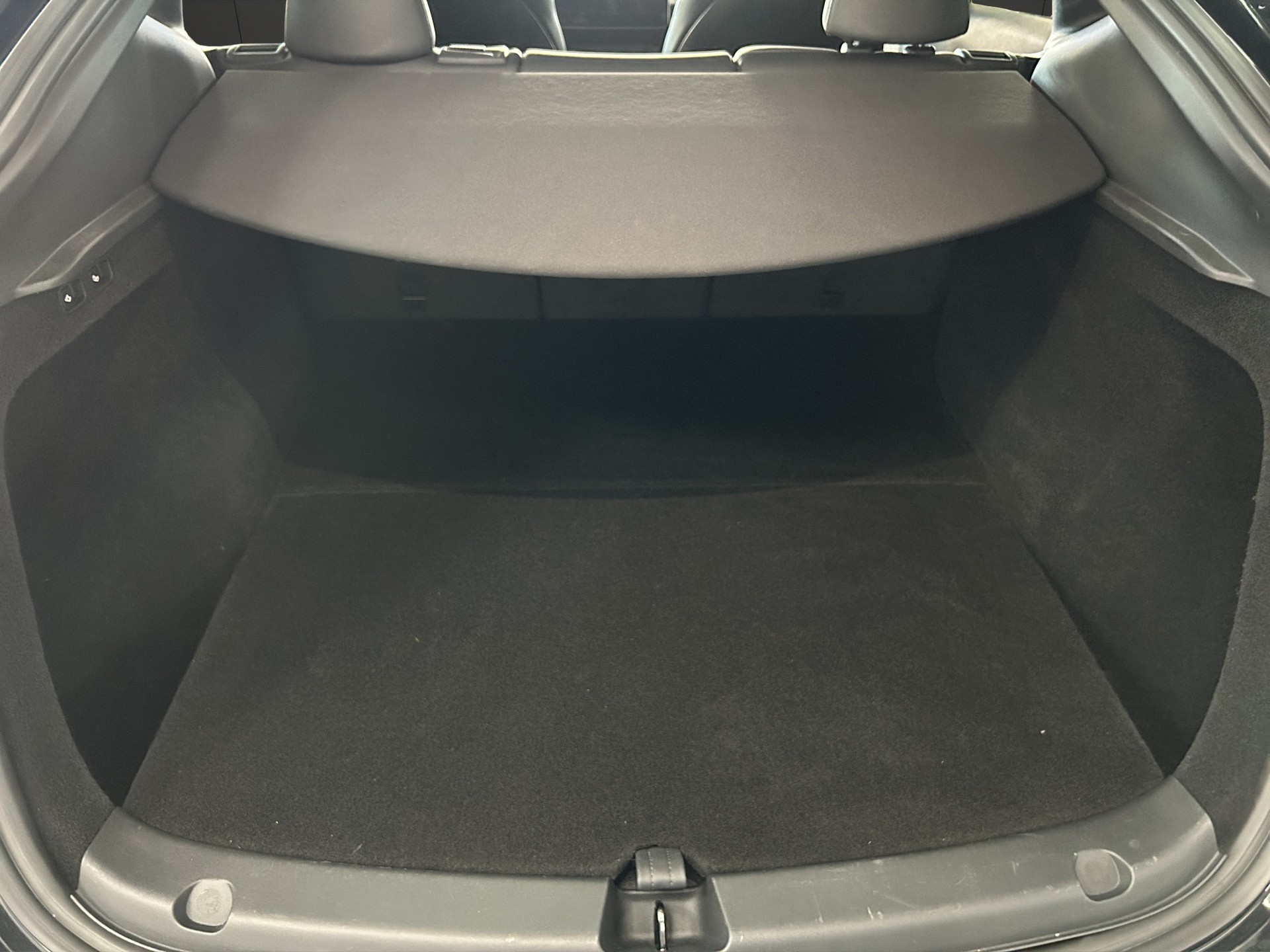 TESLA Model Y Performance / Enhanced Autopilot-image-12