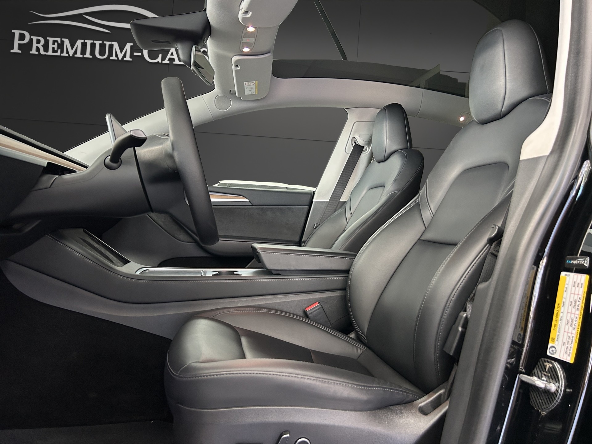 TESLA Model Y Performance / Enhanced Autopilot-image-5