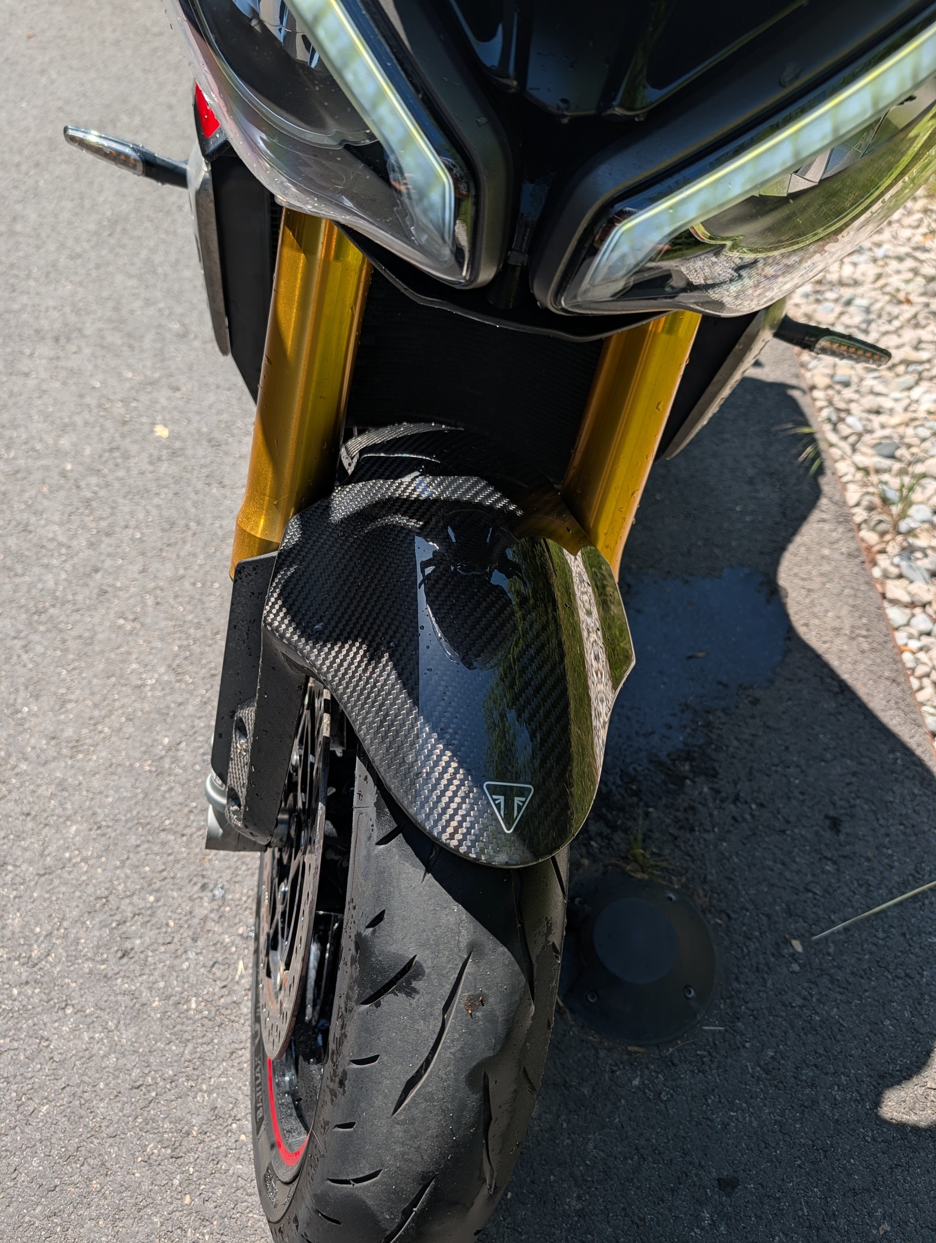 TRIUMPH Speed Triple RS-image-3