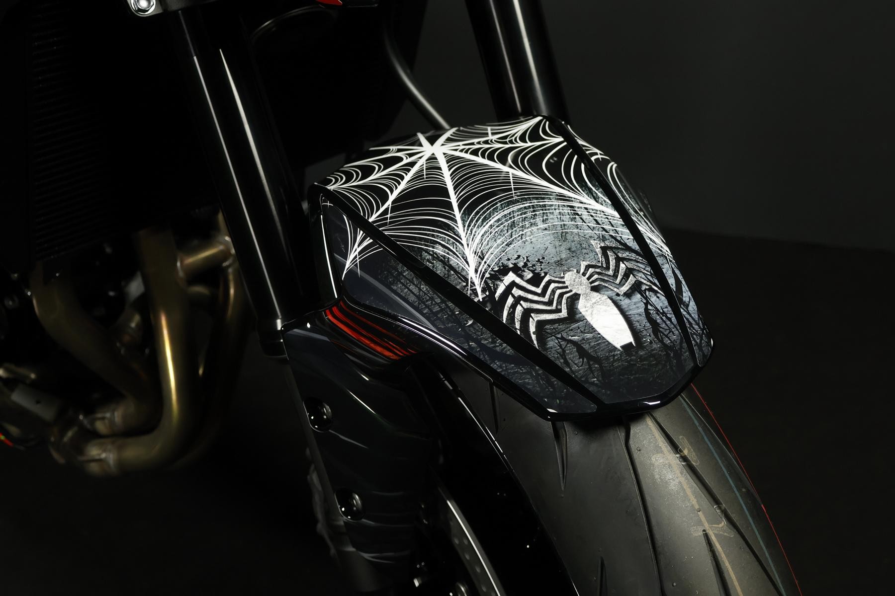 KAWASAKI KAWASAKI Z 900 (91 KW) *Venom* Level 3-showroom-element-3