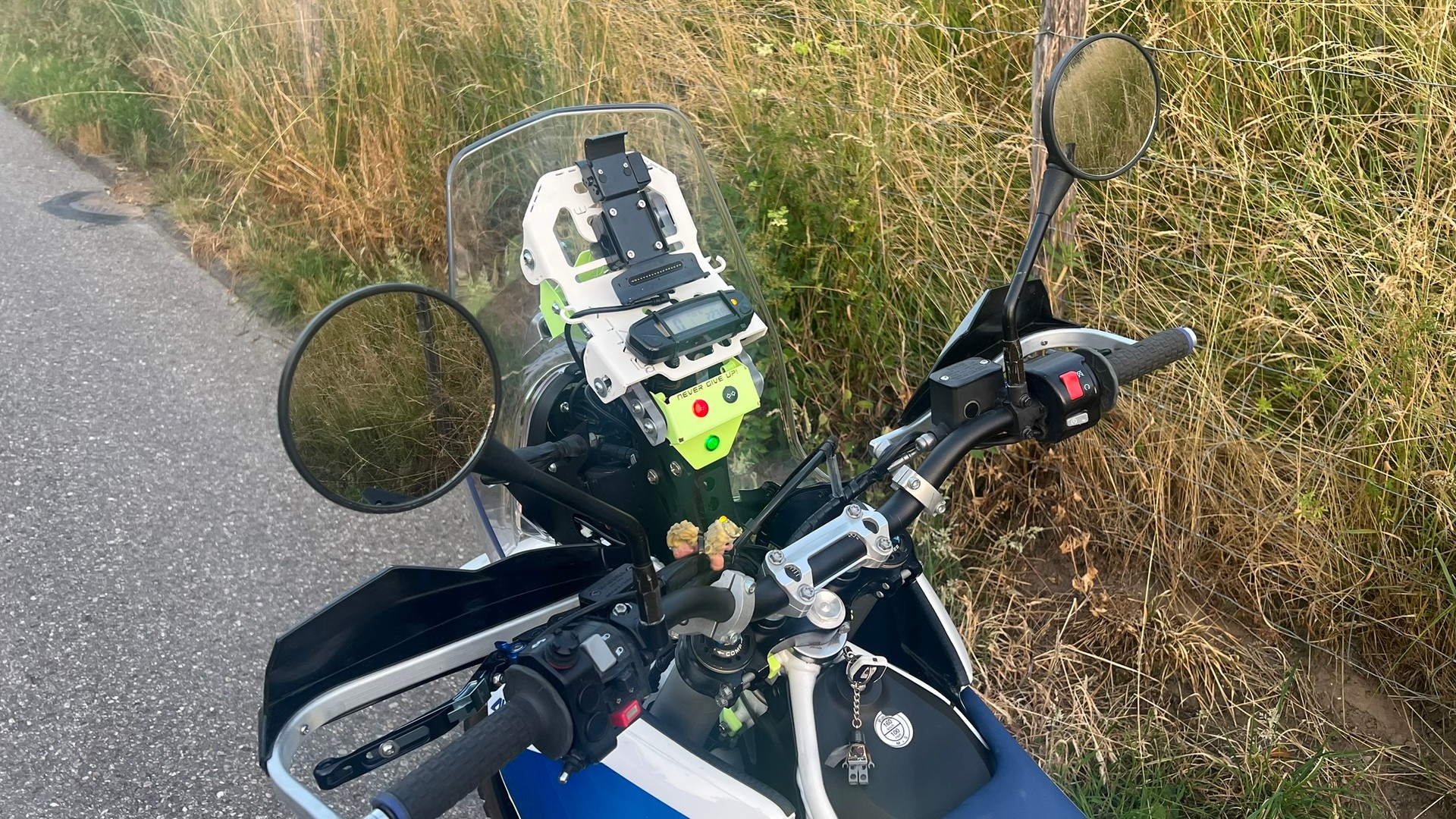 HUSQVARNA 701 Enduro-image-3