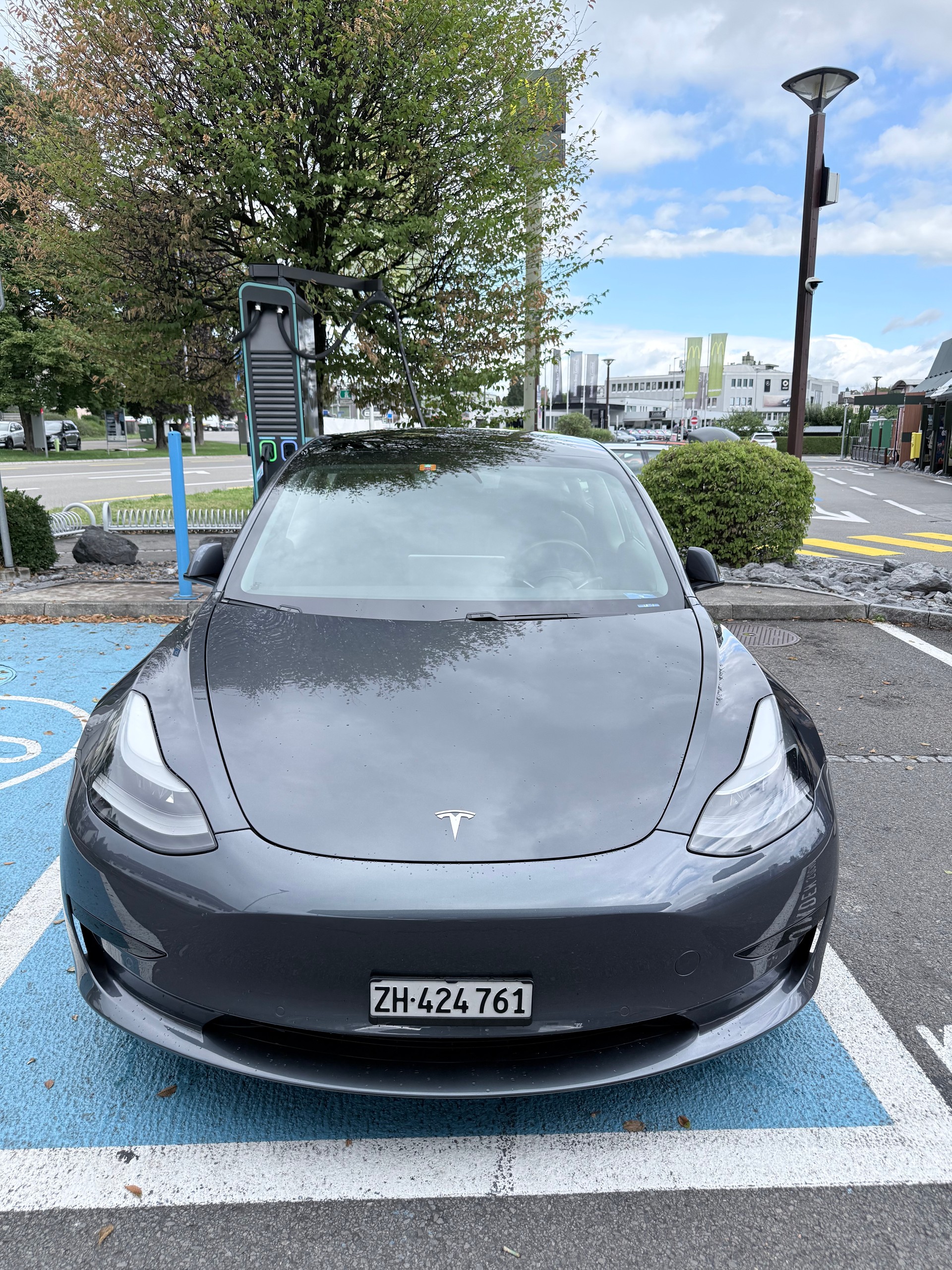TESLA Standart Range Plus