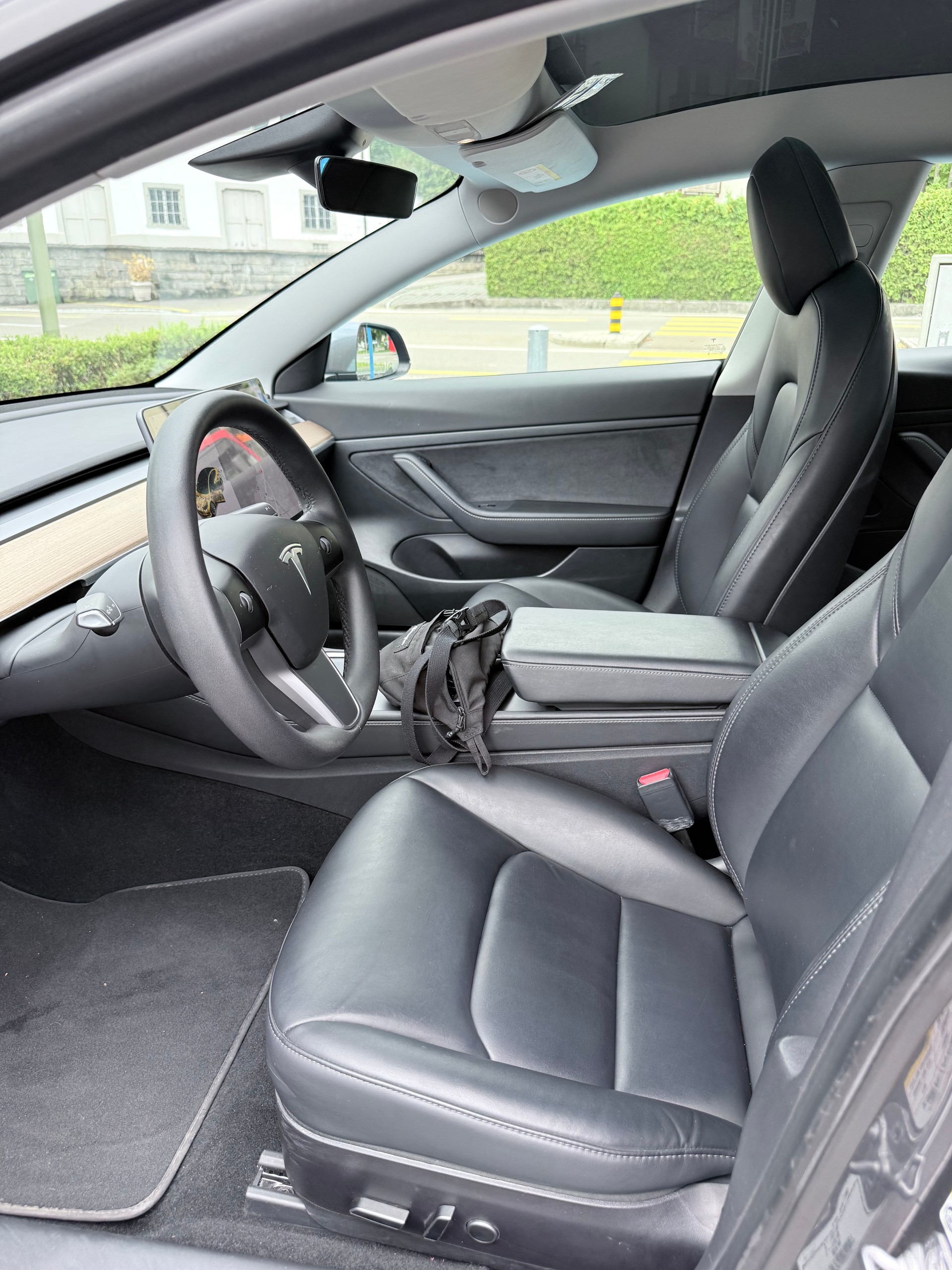 TESLA Standart Range Plus-image-8