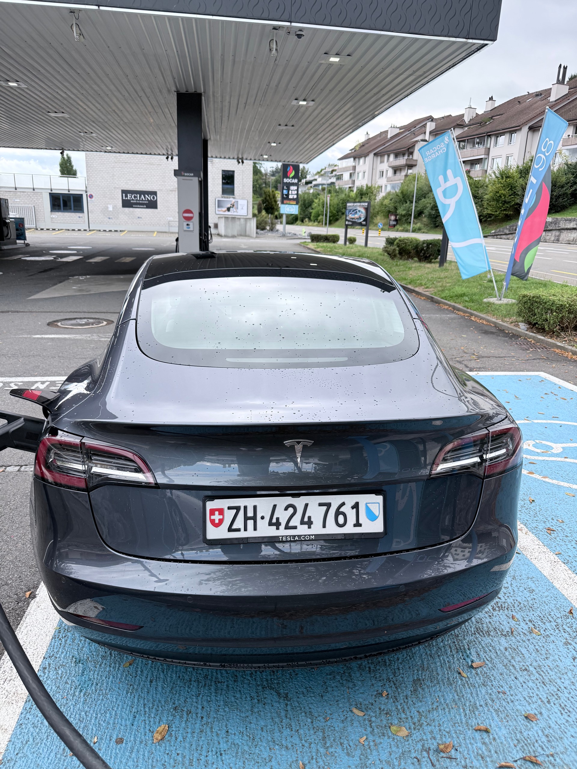 TESLA Standart Range Plus-image-3