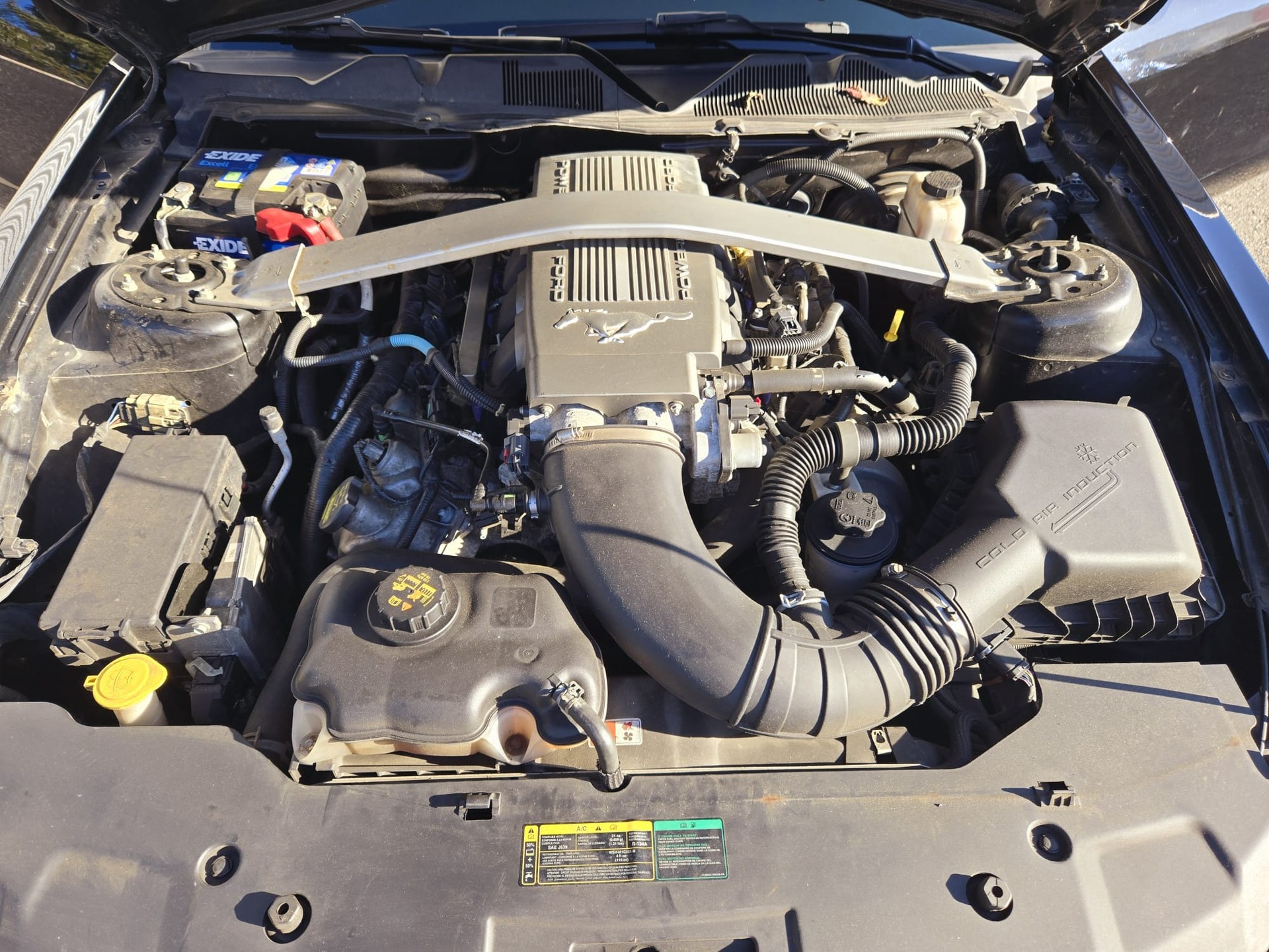FORD Mustang 4.6L V8 GT-image-8