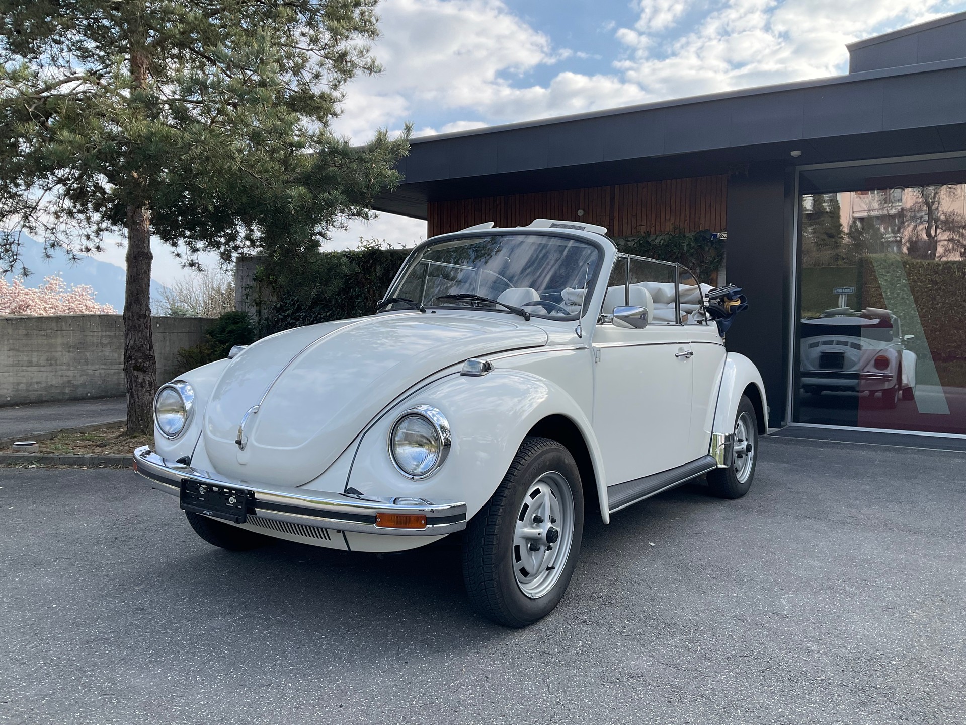 VW Käfer-image-1