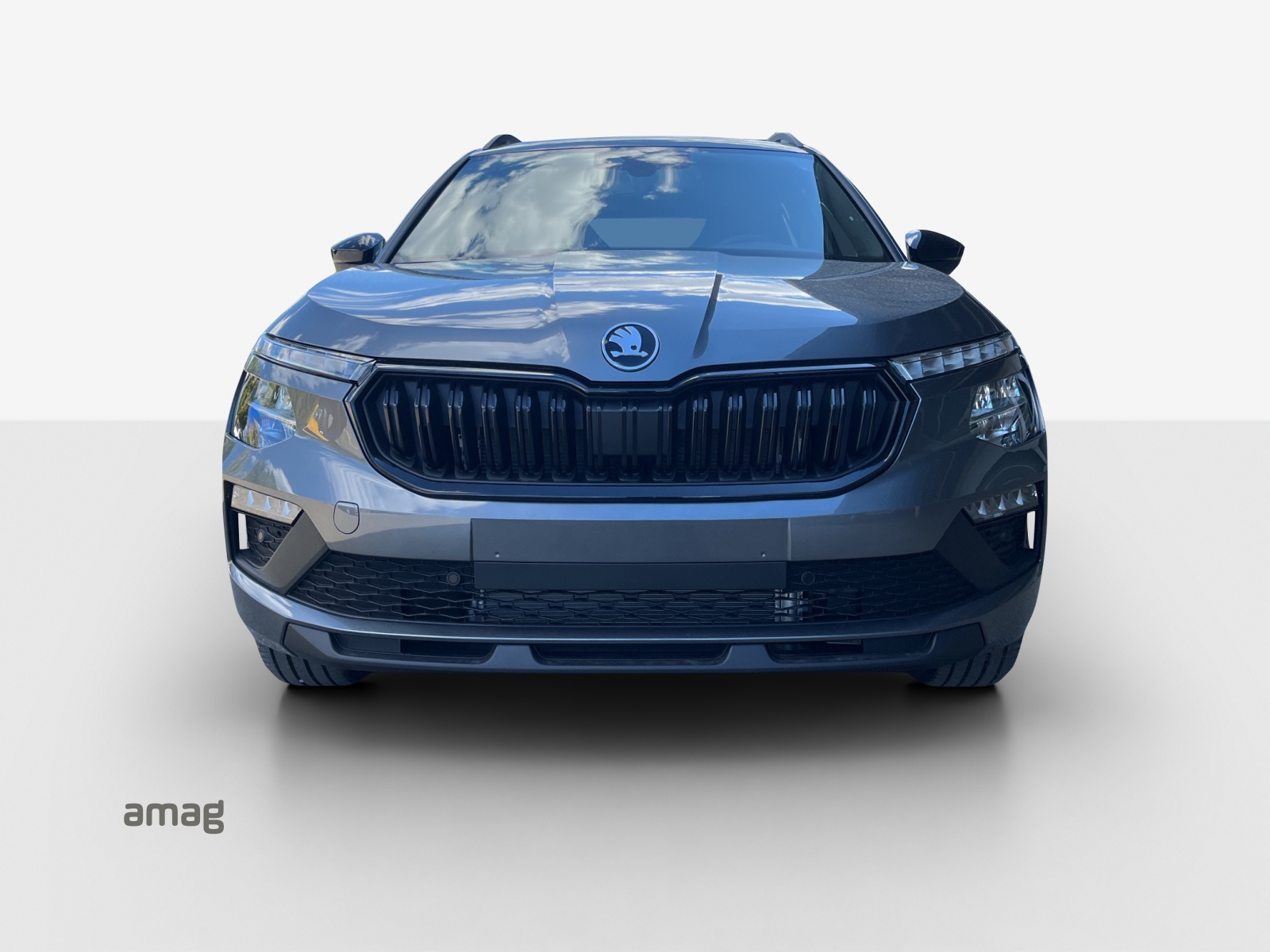 SKODA Kamiq 1.5 TSI Dynamic DSG-image-6