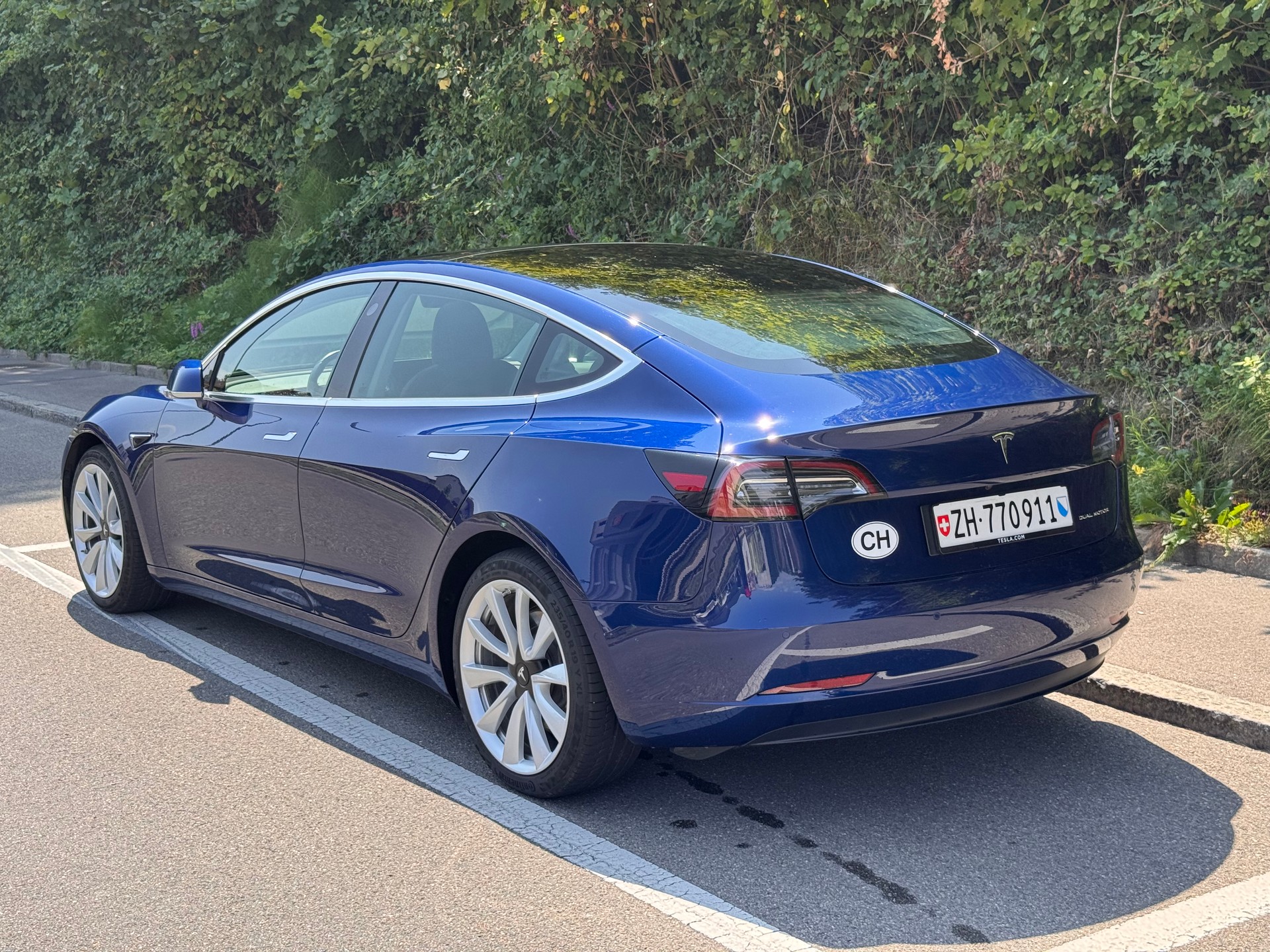 TESLA Long Range Dual Motor-image-2