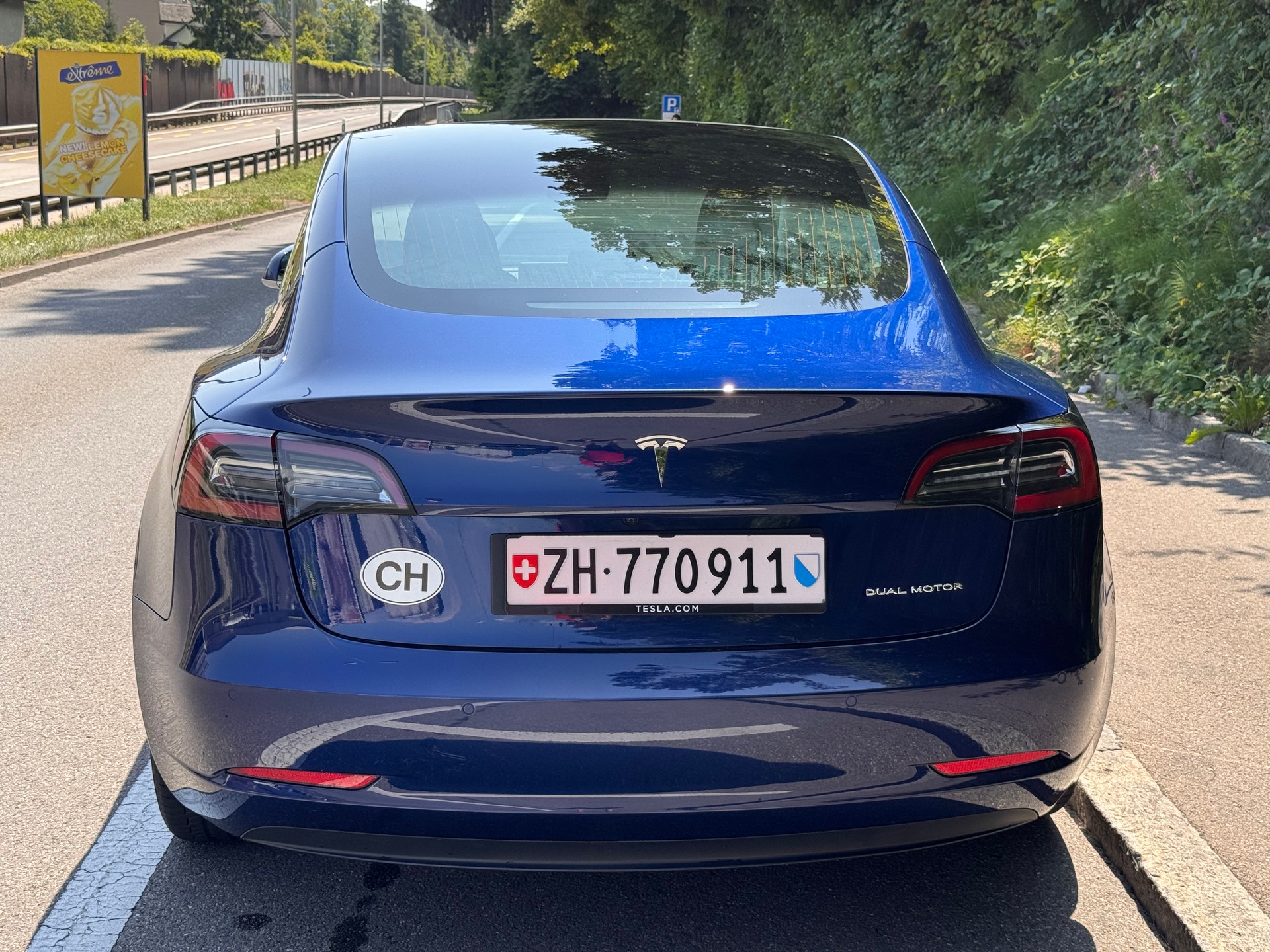 TESLA Long Range Dual Motor-image-3