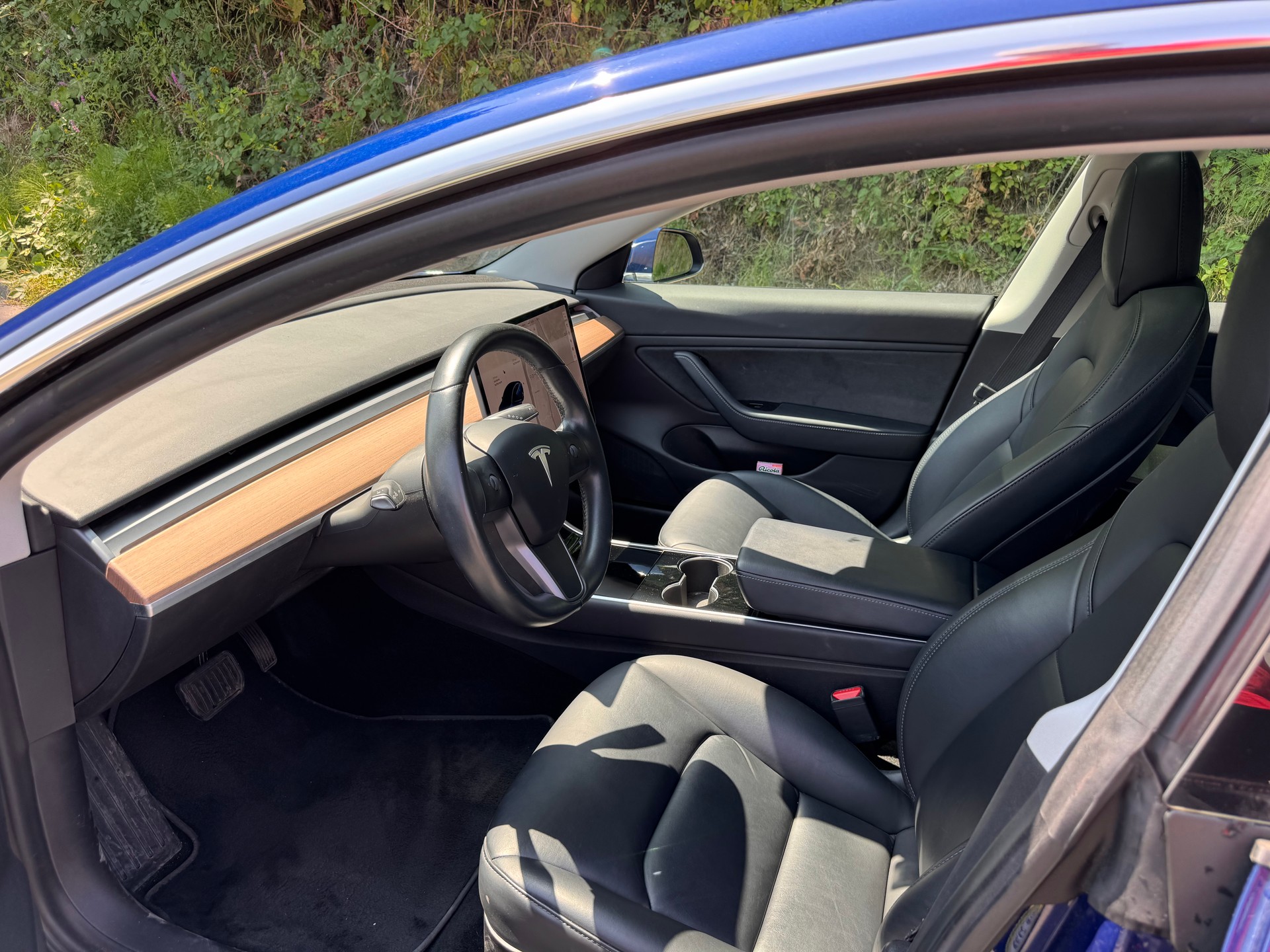 TESLA Long Range Dual Motor-image-5