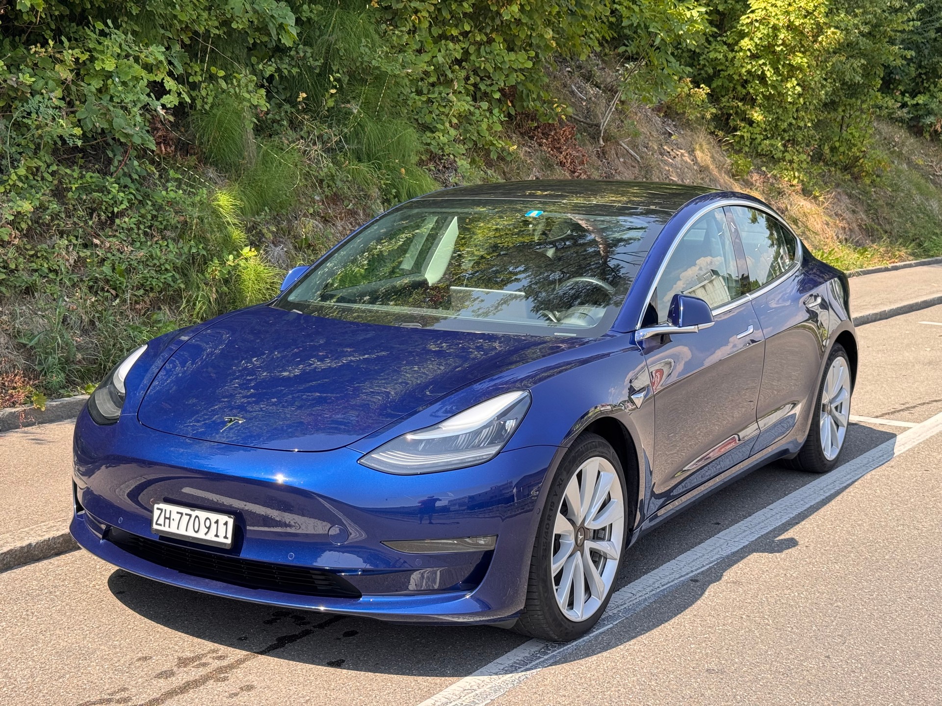 TESLA Long Range Dual Motor
