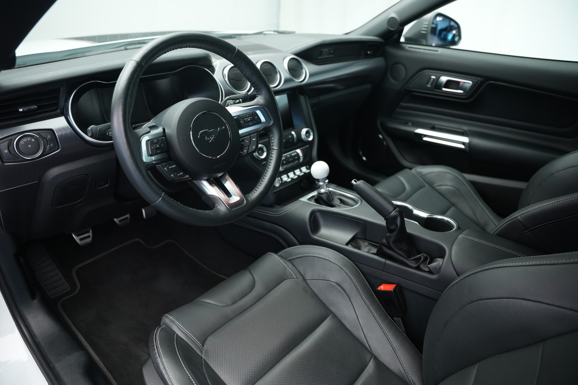 FORD Mustang Fastback 5.0 V8 Mach 1-image-10