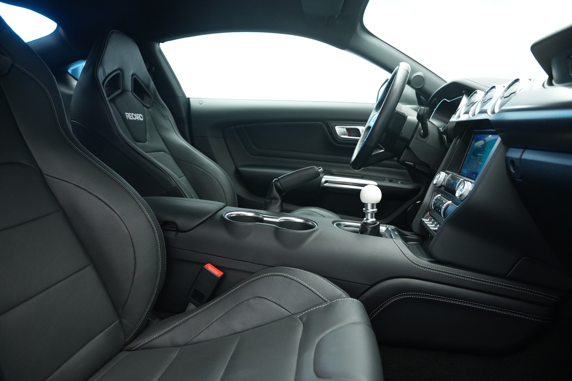 FORD Mustang Fastback 5.0 V8 Mach 1-image-12