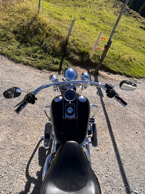 HARLEY-DAVIDSON FLSTN Softail Deluxe ABS-image-9