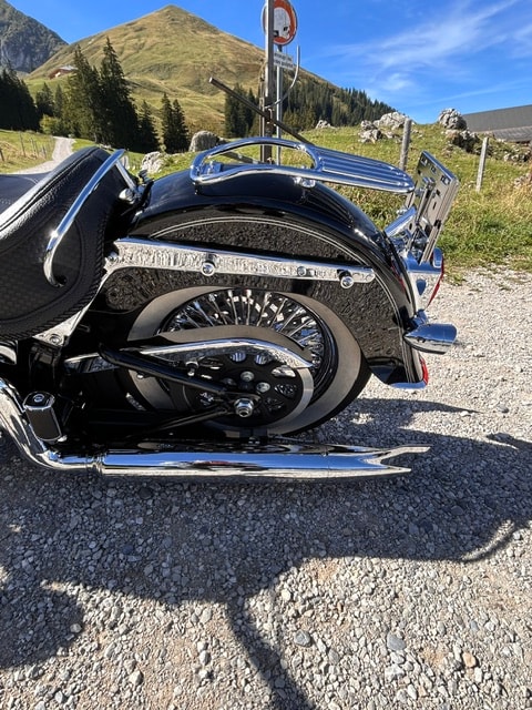 HARLEY-DAVIDSON FLSTN Softail Deluxe ABS-image-11