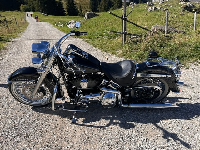 HARLEY-DAVIDSON FLSTN Softail Deluxe ABS-image-13