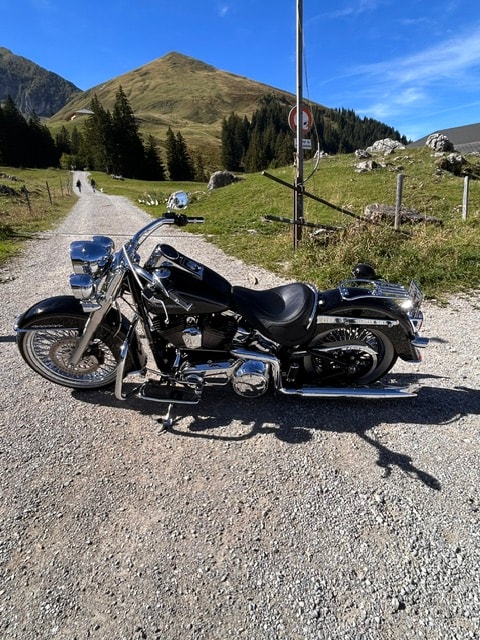 HARLEY-DAVIDSON FLSTN Softail Deluxe ABS-image-2