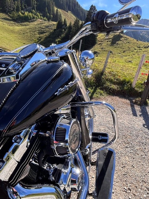 HARLEY-DAVIDSON FLSTN Softail Deluxe ABS-image-6