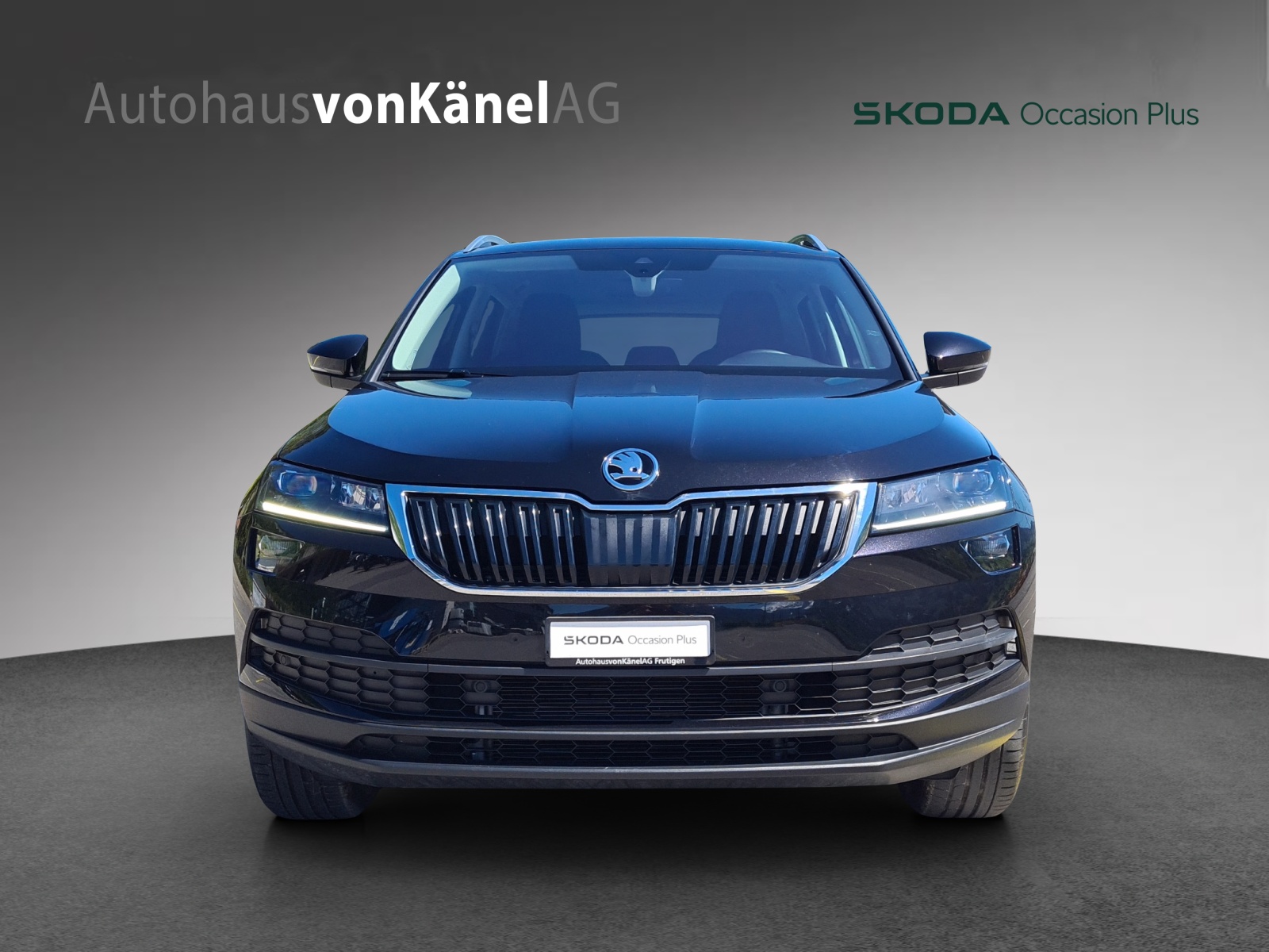 SKODA Karoq 2.0 TDI CR Clever 4x4 DSG-showroom-element-3