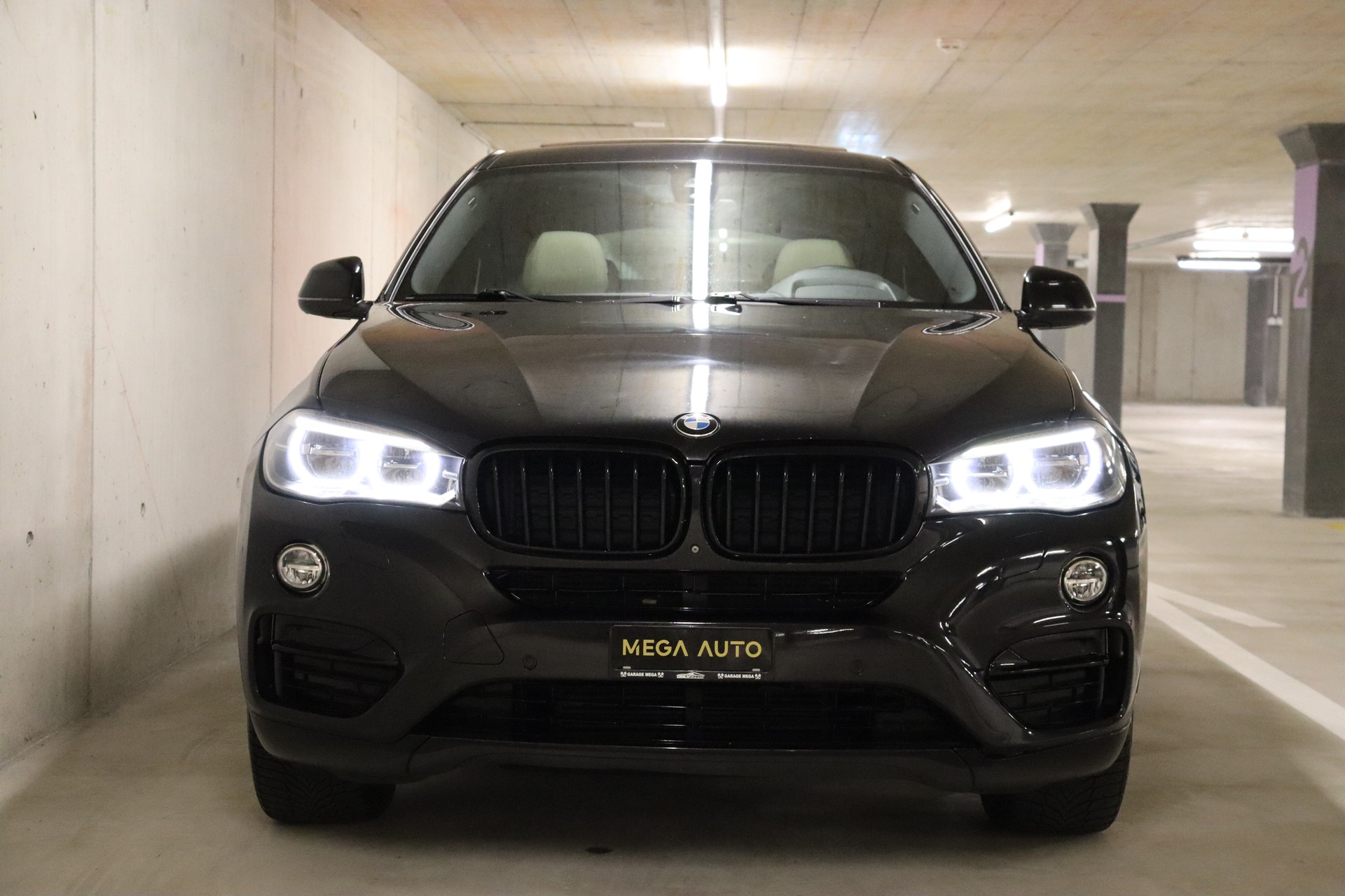 BMW X6 xDrive 30d Steptronic-showroom-element-2