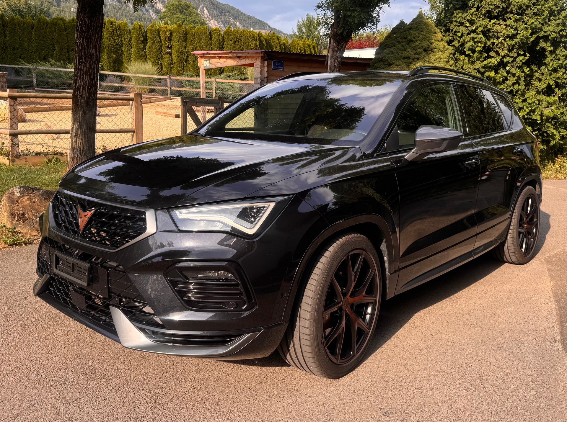 CUPRA 2.0 TSI 4Drive DSG