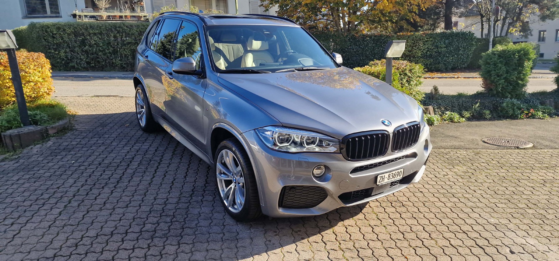 BMW X5 xDrive 40d Steptronic-showroom-element-1