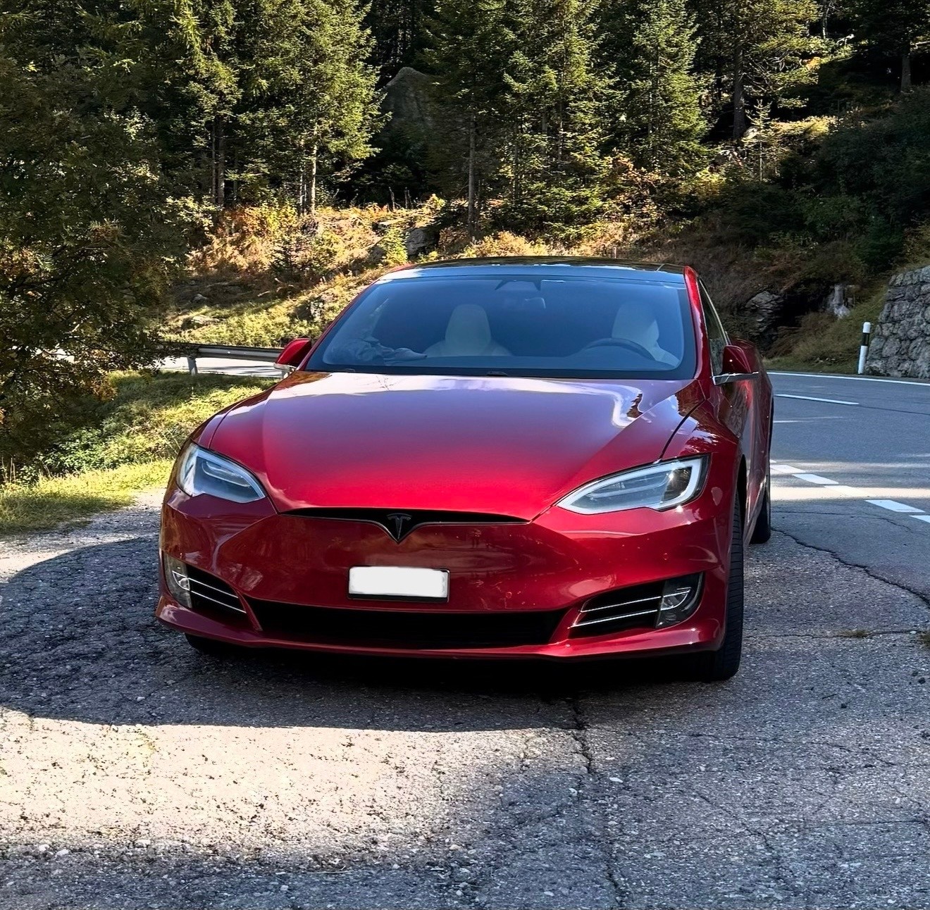 TESLA 100 Performance D / Enhanced Autopilot / Neue HV Batterie