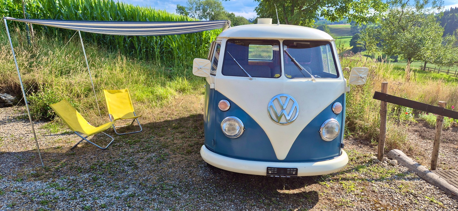 VW T1