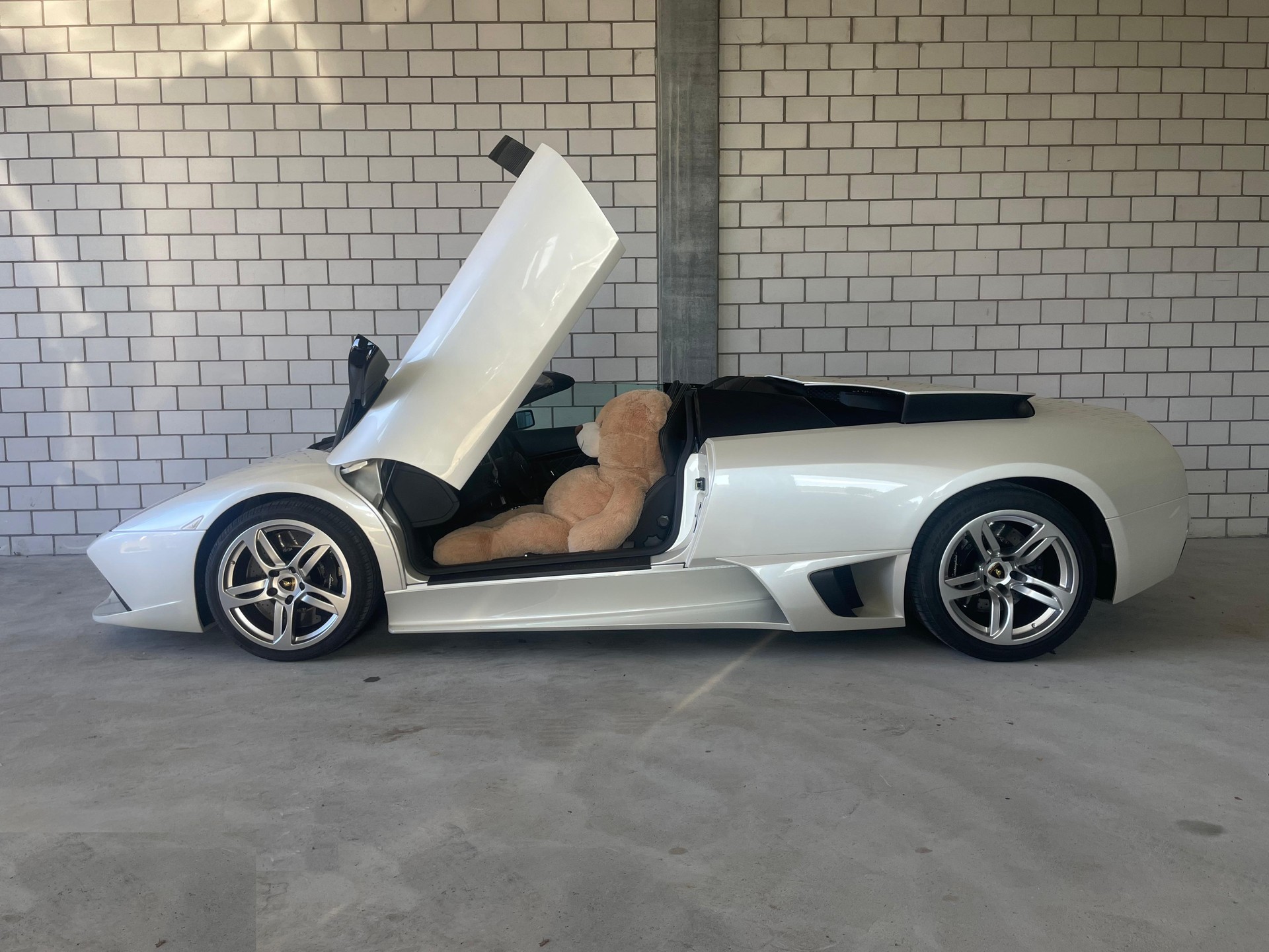 LAMBORGHINI Murciélago LP640-4 Roadster
