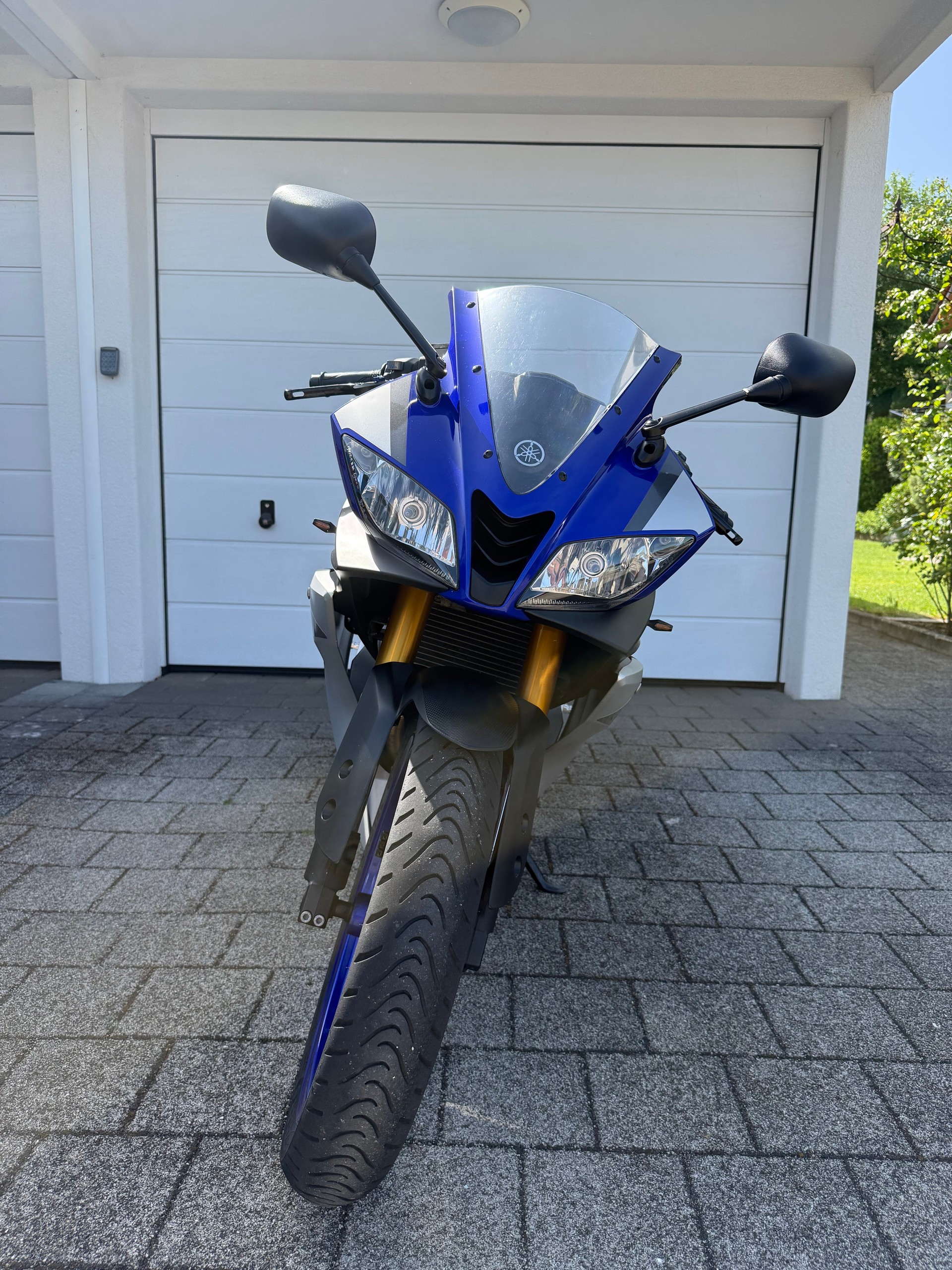 YAMAHA YZF-R 125 ABS Akrapovic-image-1