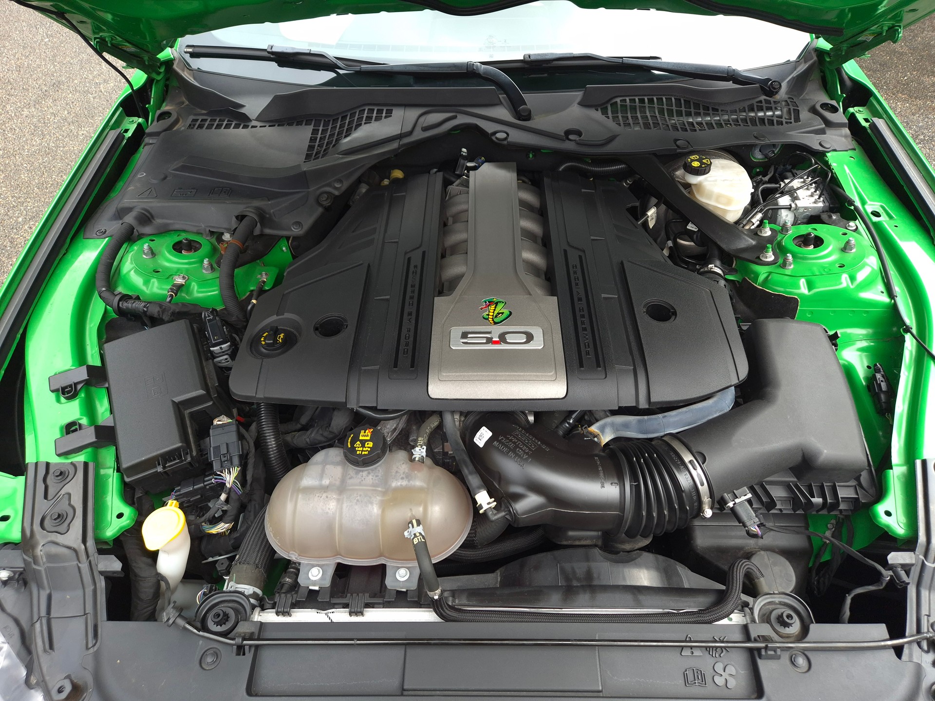 FORD MUSTANG GT Fastback V8-image-29