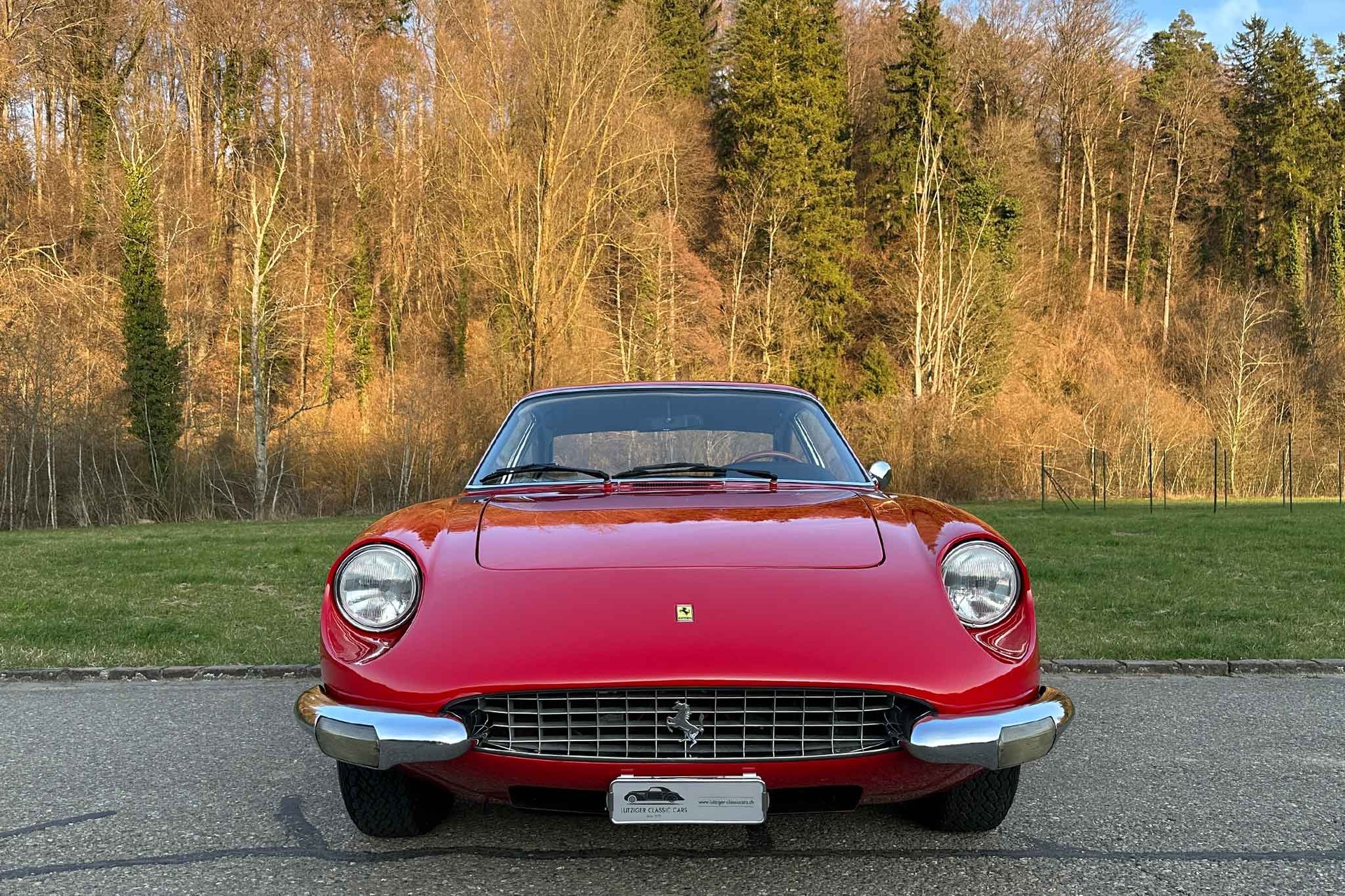 FERRARI 365 GT 2+2-image-2