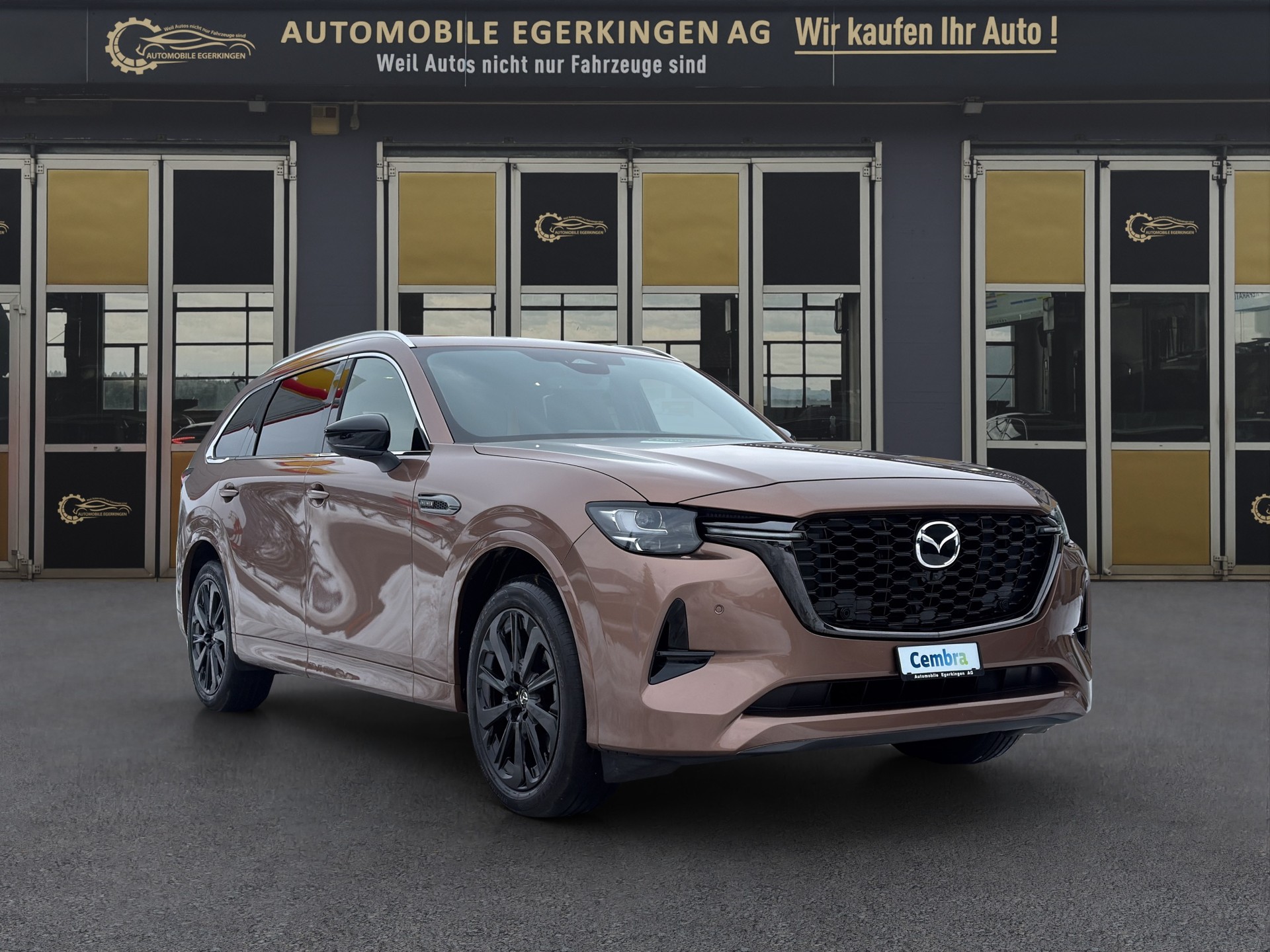 MAZDA CX-80 3.3 D Homura Plus-showroom-element-2