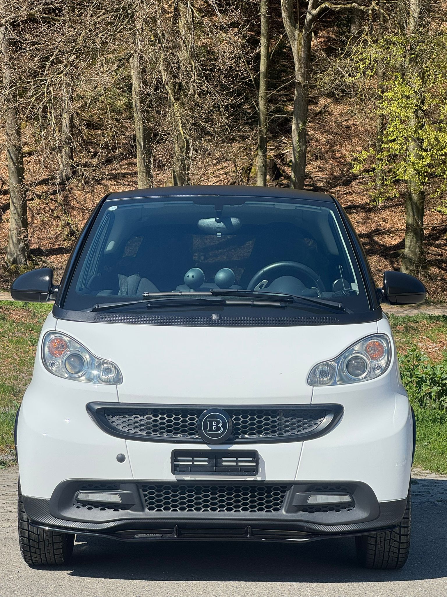 SMART fortwo Brabus Xclusive softouch-image-14