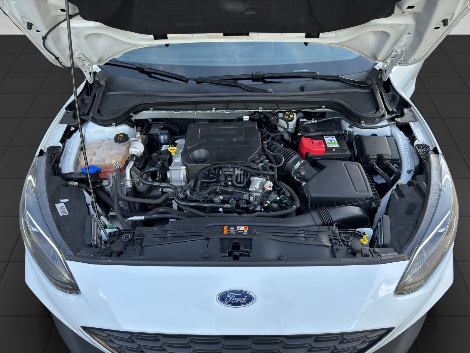 FORD Focus 1.0 SCTi Active-image-16