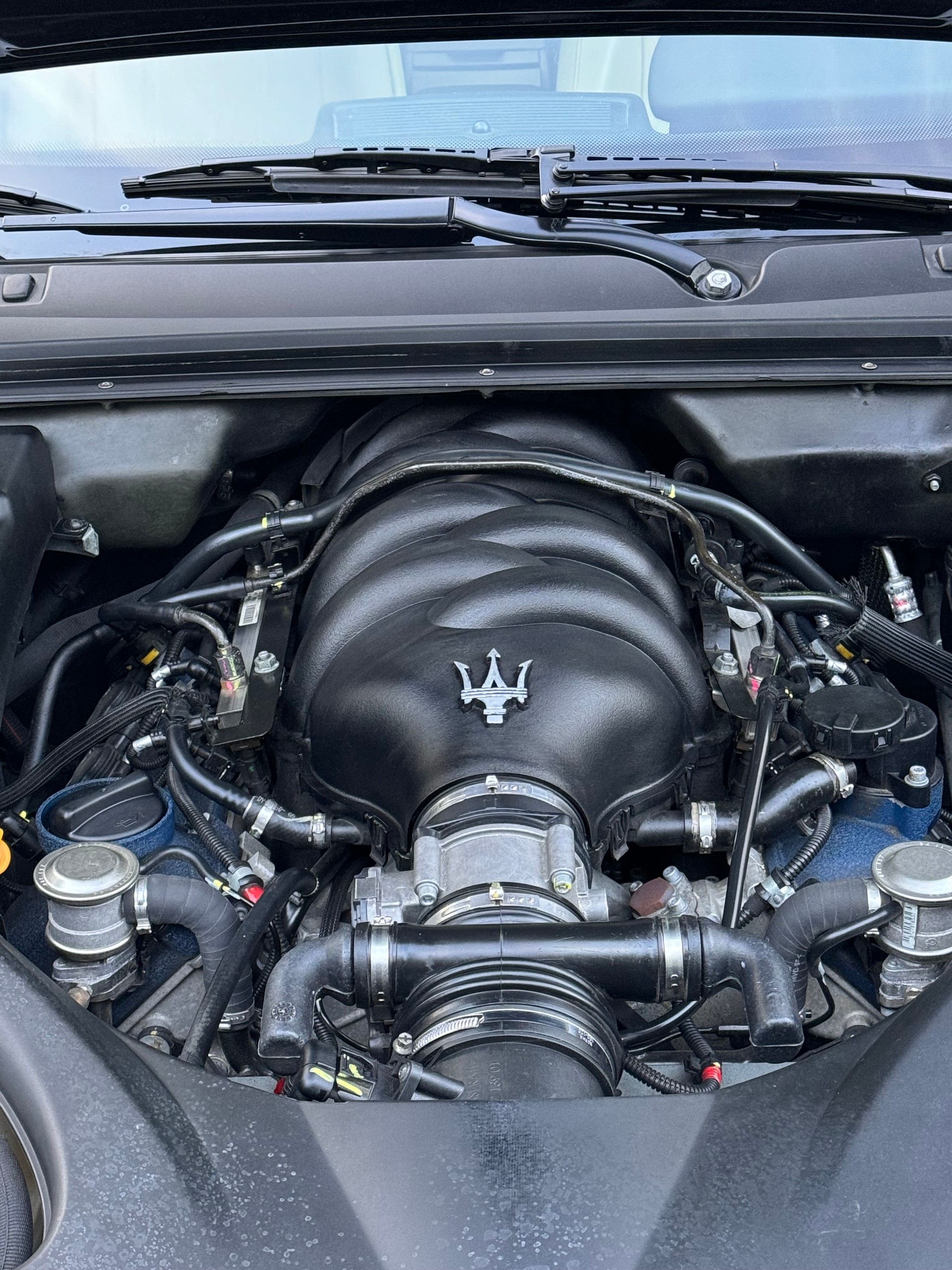 MASERATI Quattroporte 4.2 V8 Automatica-image-4