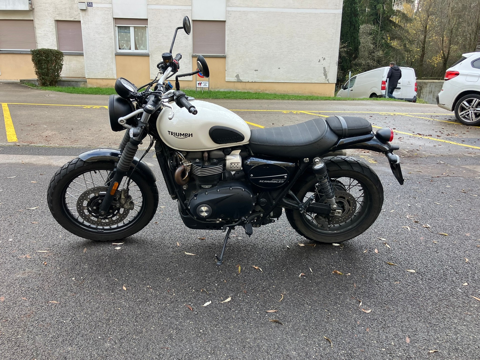 TRIUMPH Street Scrambler 900-image-1