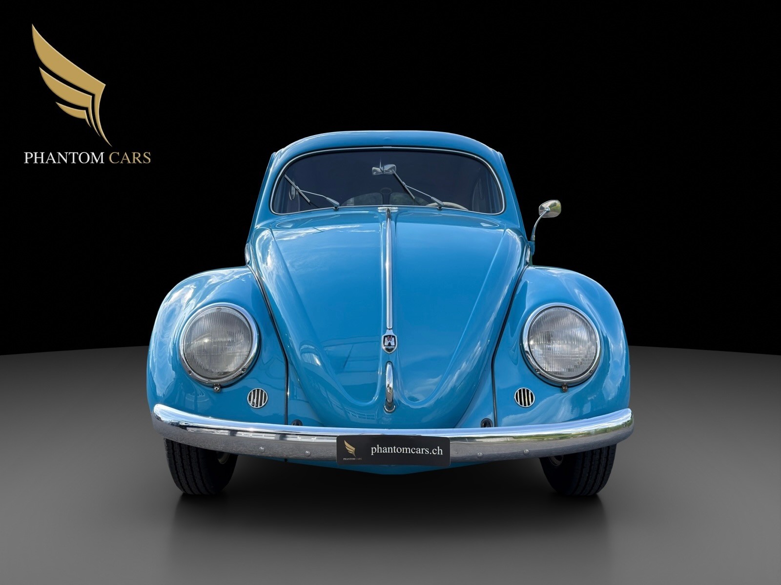 VW Brezel Ovali - De Luxe - VETERAN-showroom-element-2